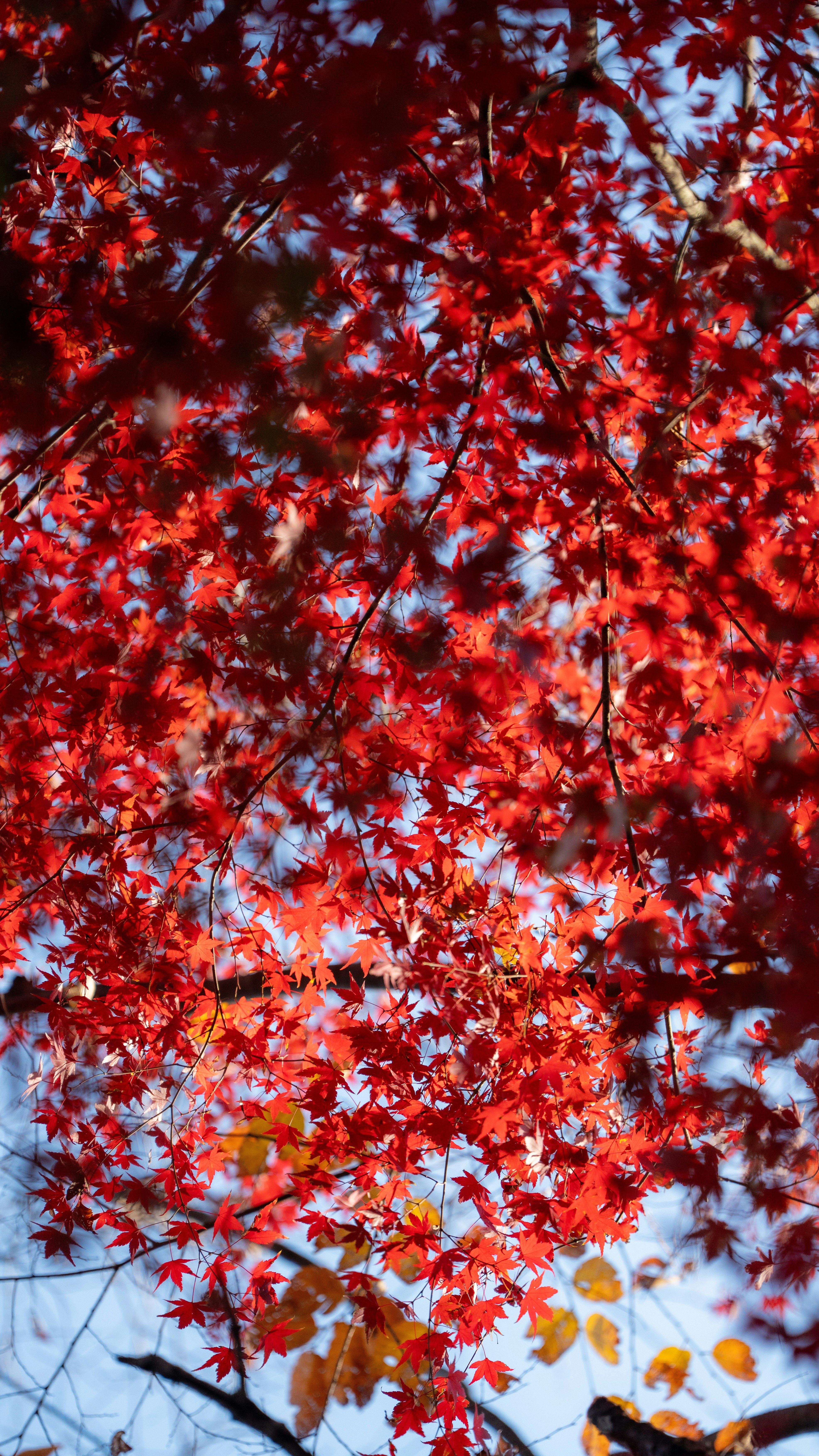 Photo by hyewonphotography