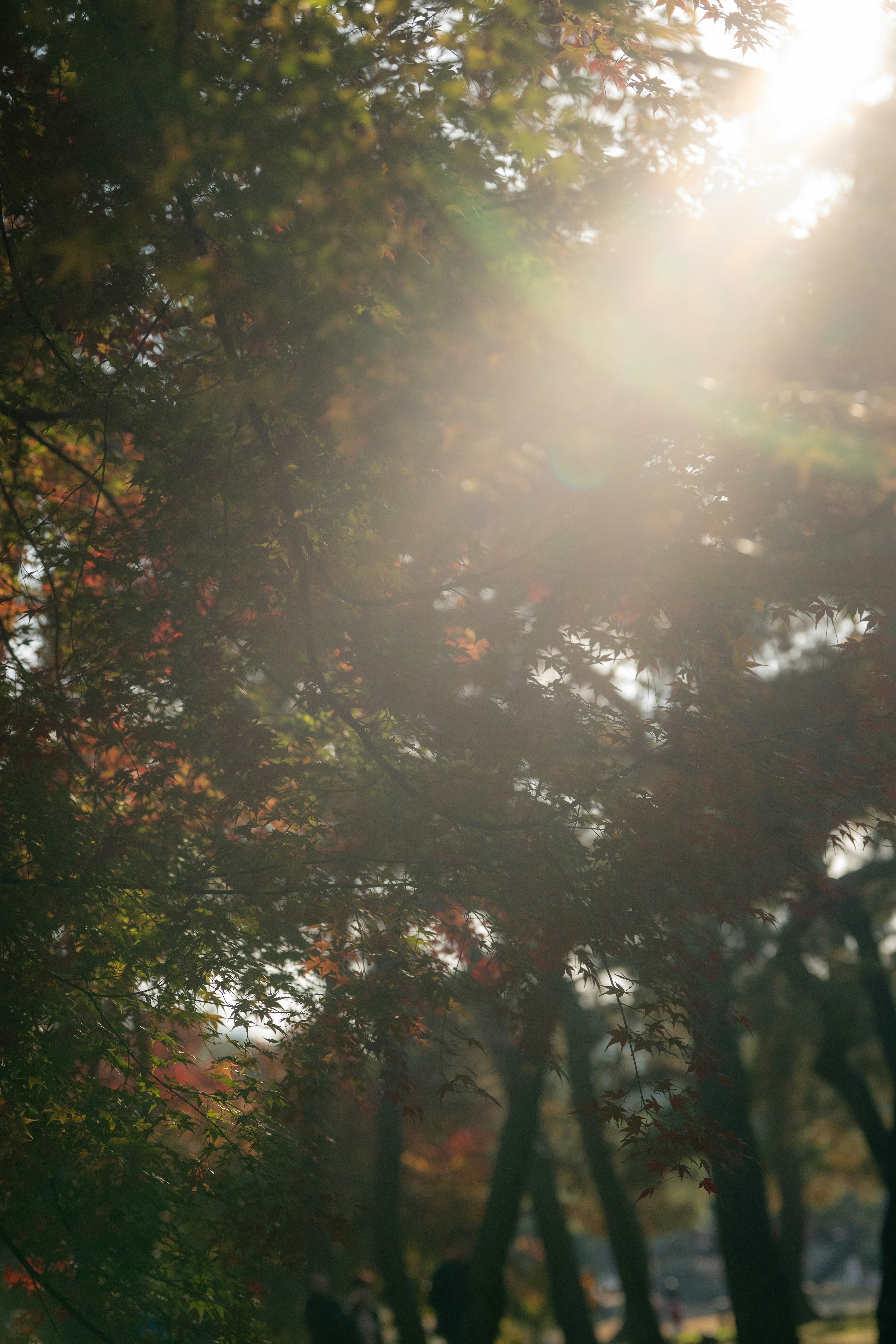 Photo by hyewonphotography