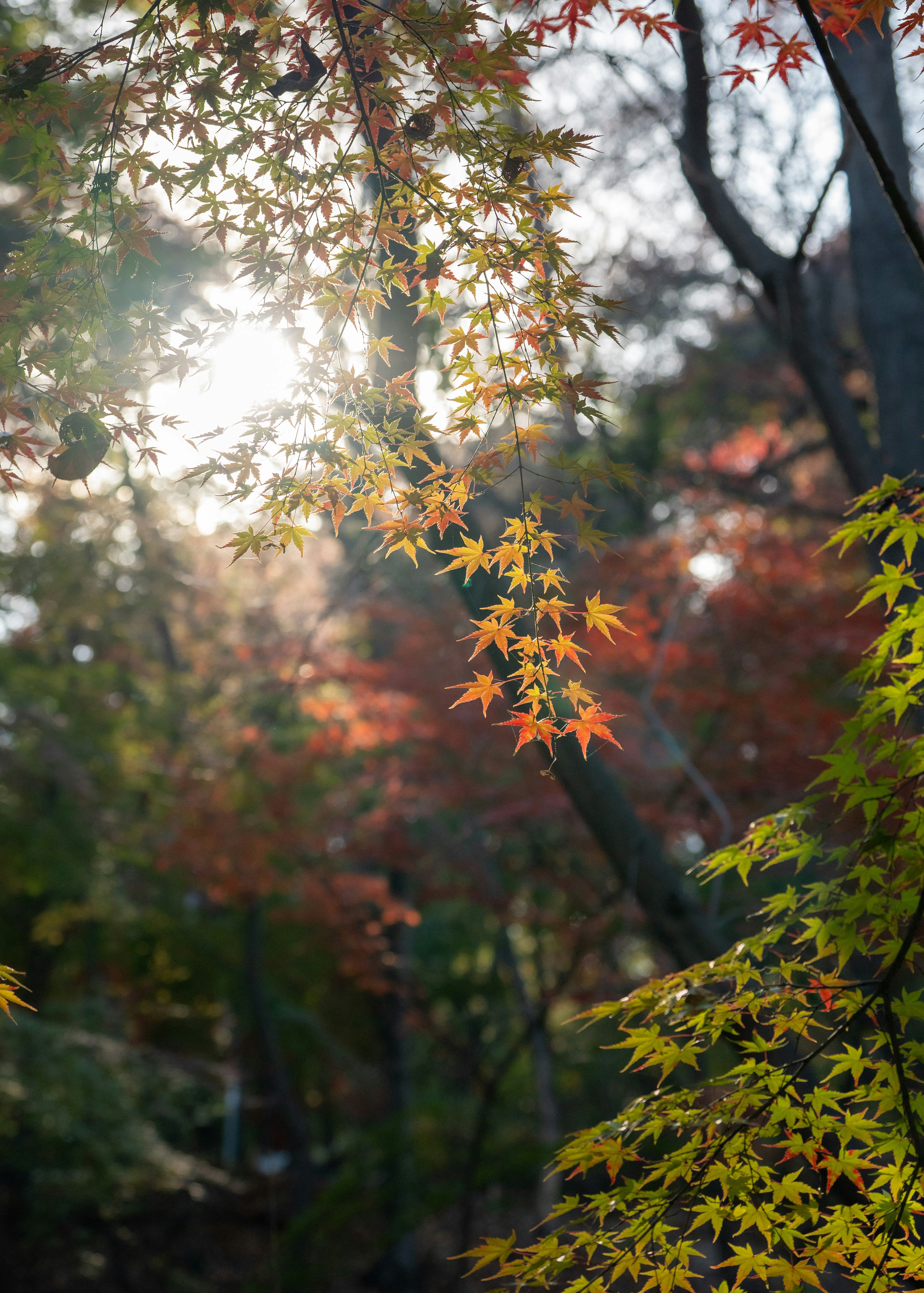 Photo by hyewonphotography