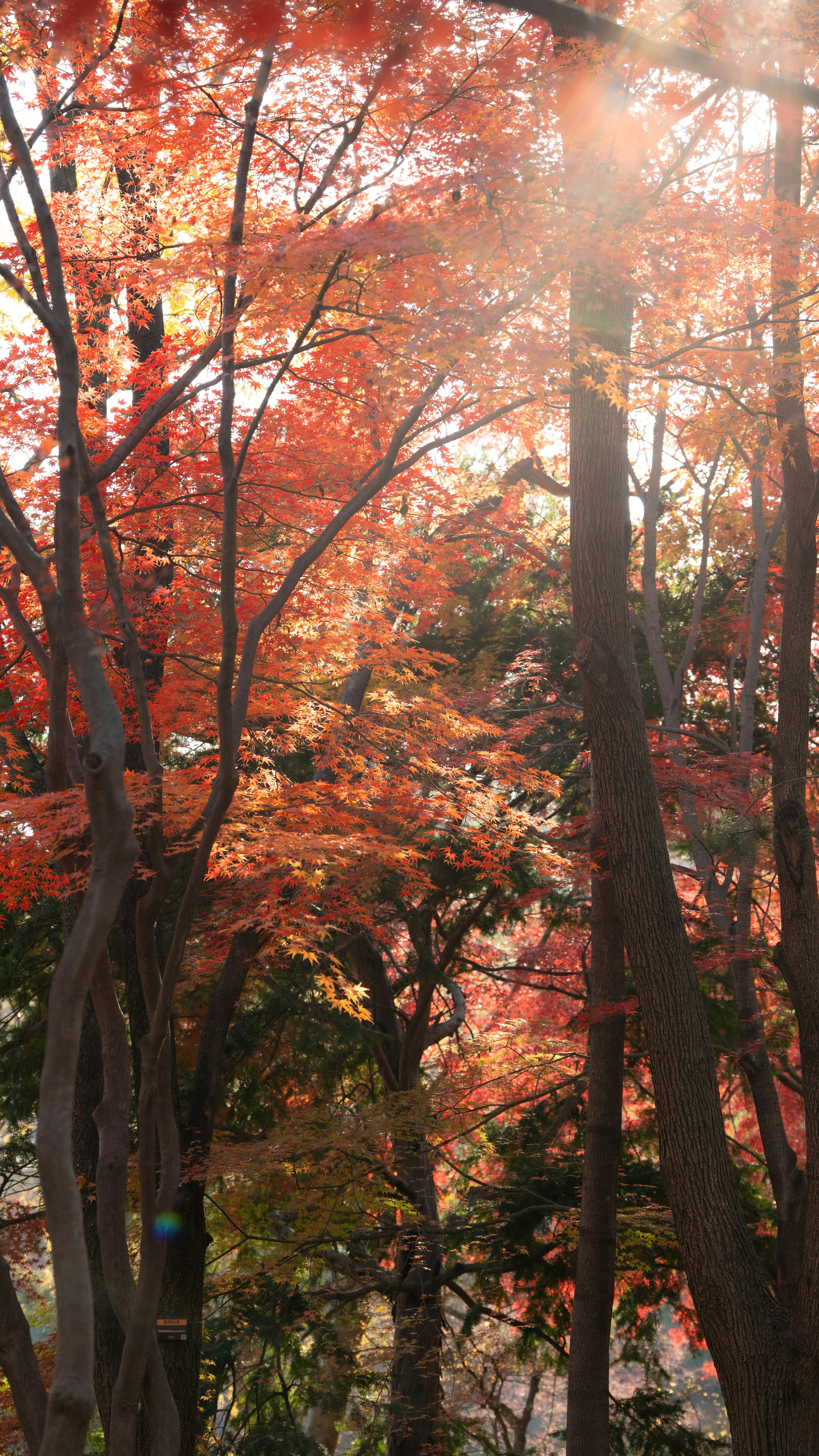 Photo by hyewonphotography