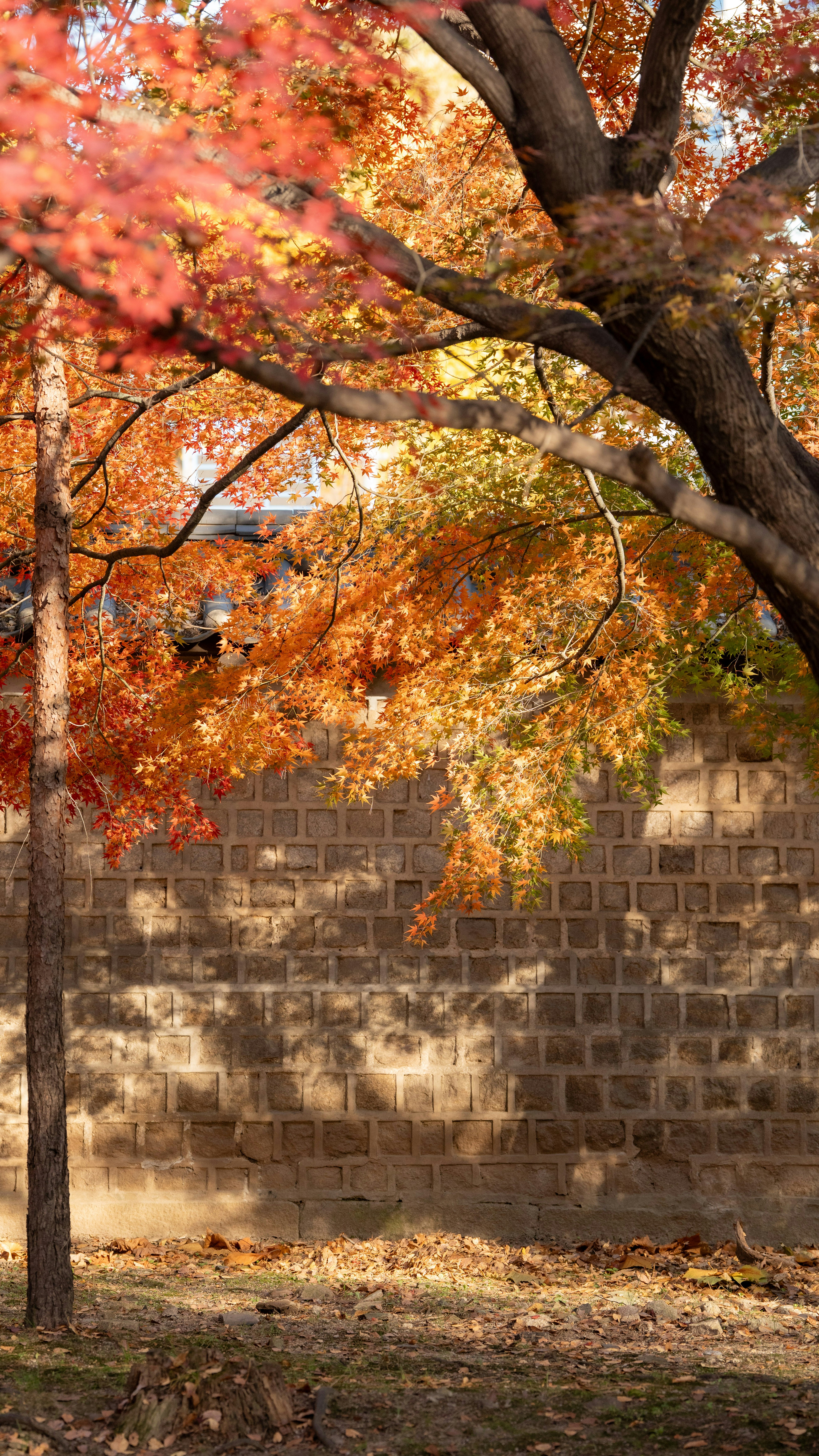 Photo by hyewonphotography