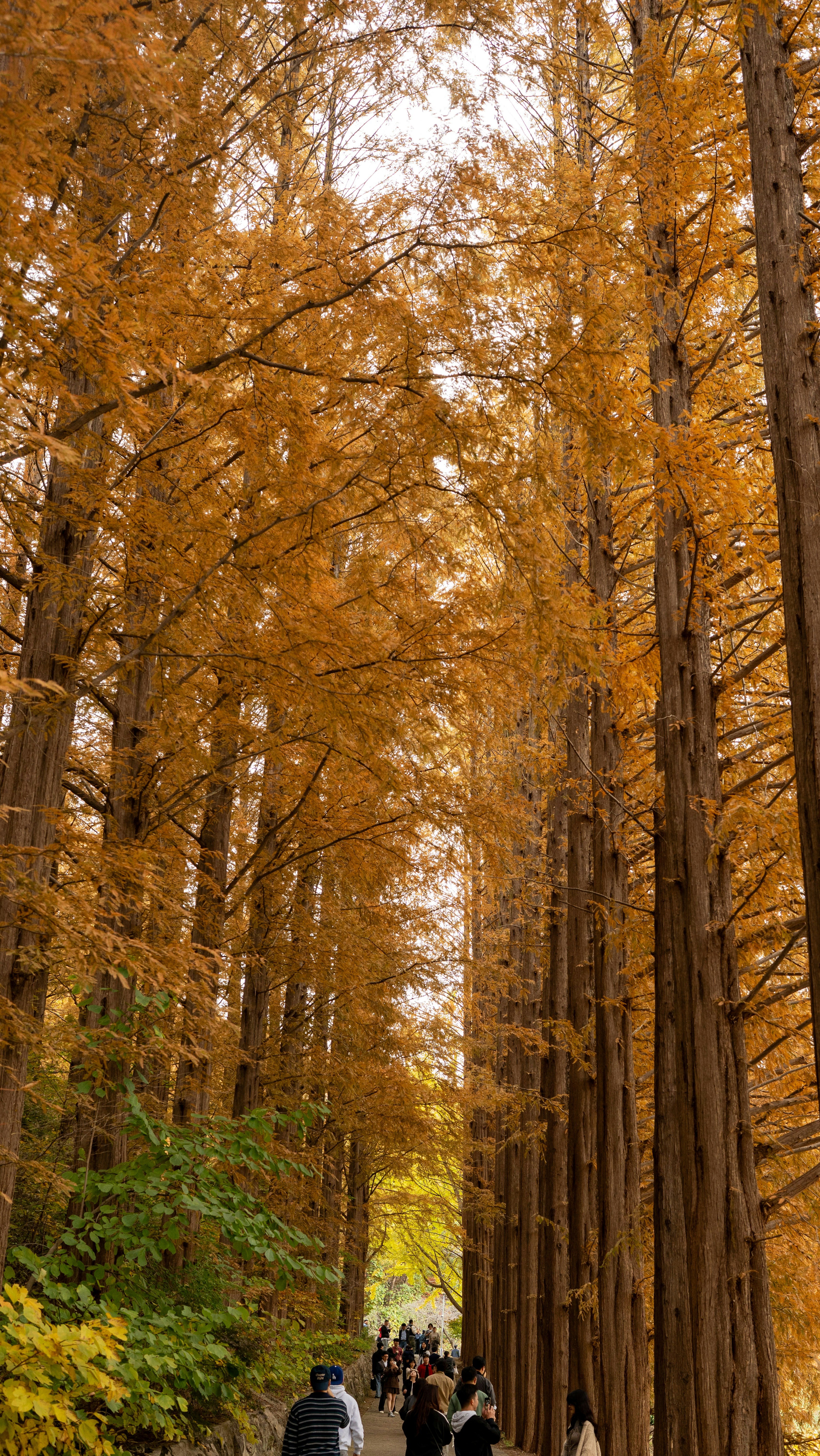 Photo by hyewonphotography