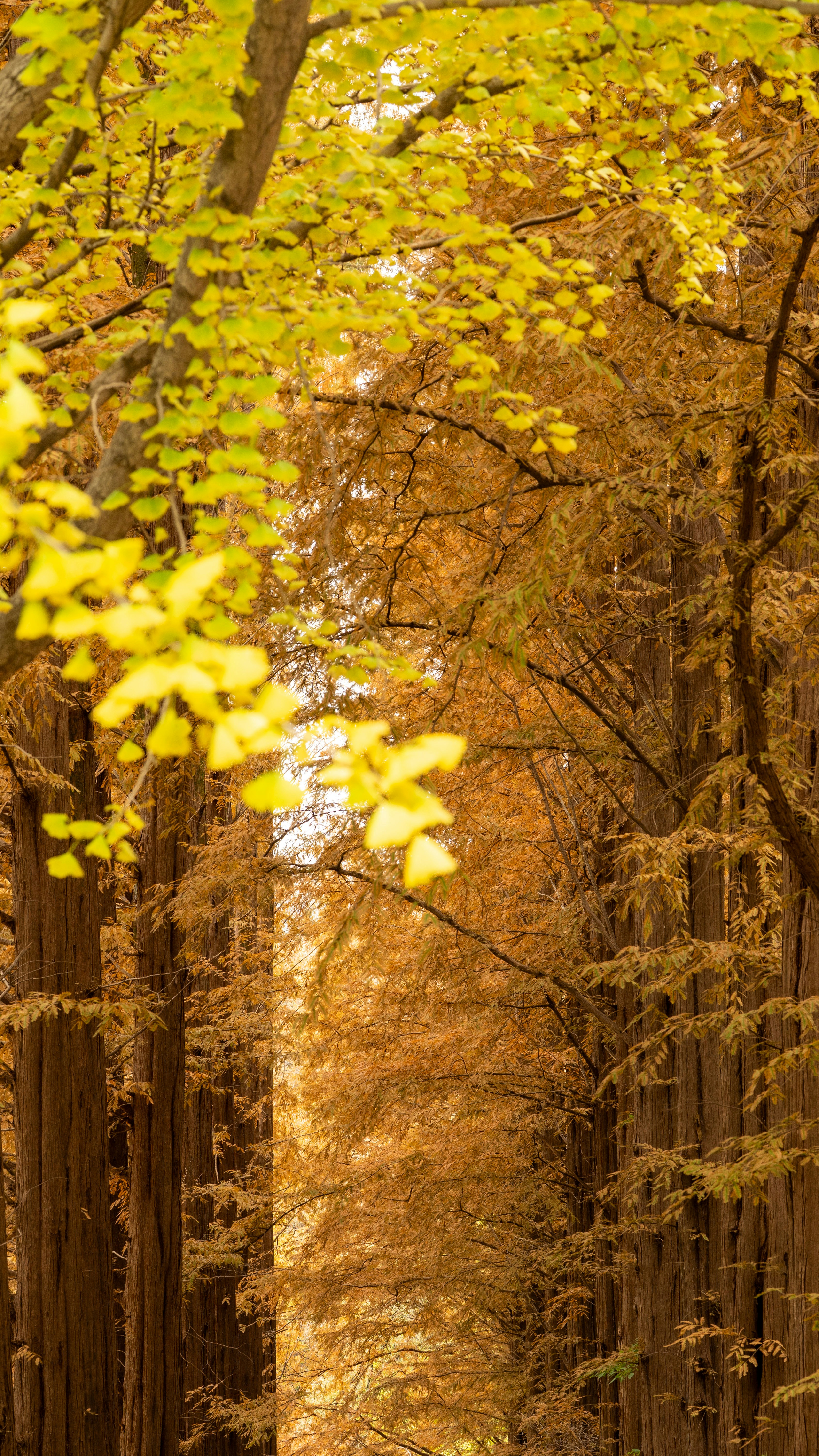 Photo by hyewonphotography