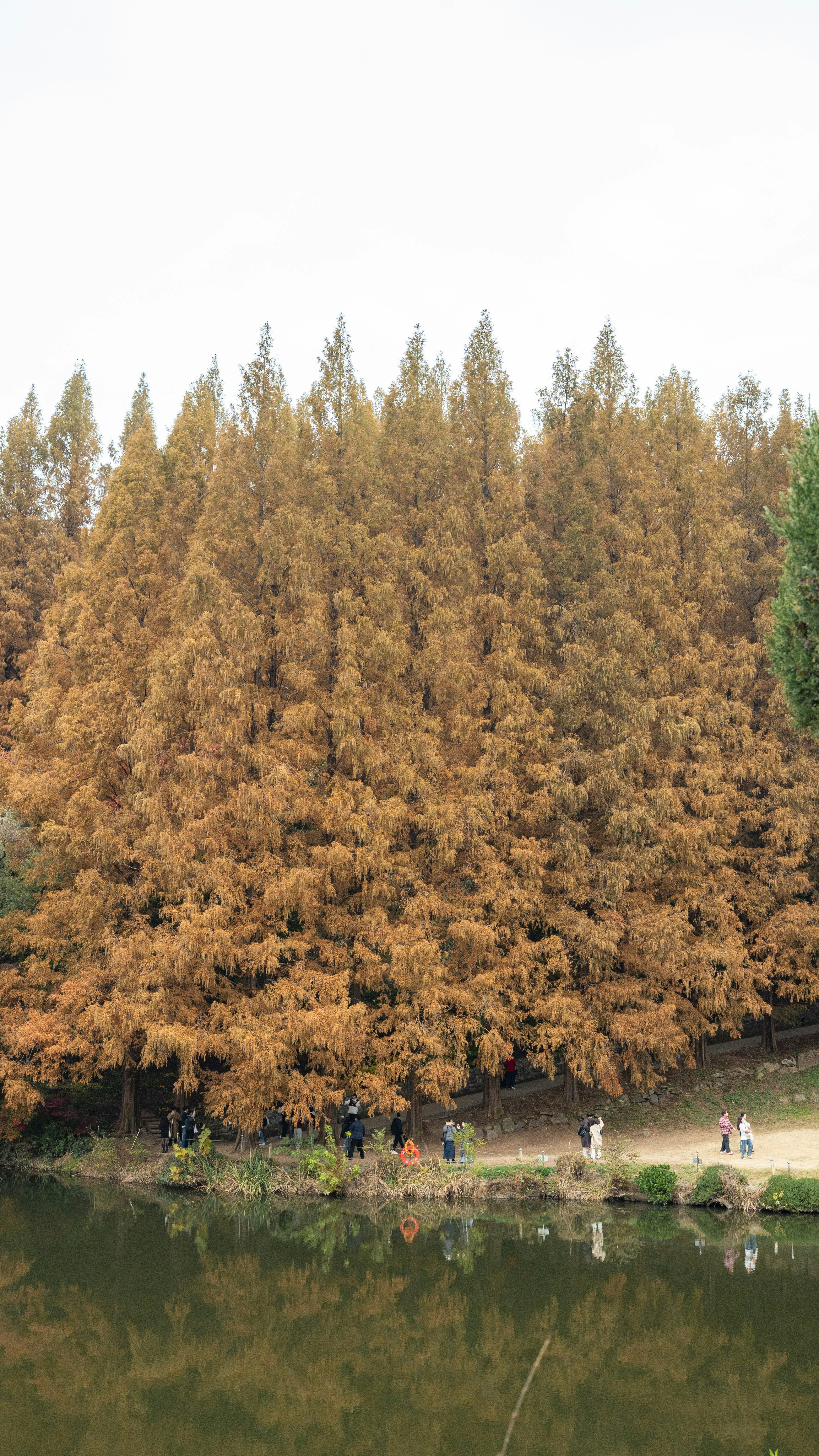 Alberi autunnali riflessi in un lago tranquillo con persone che camminano.