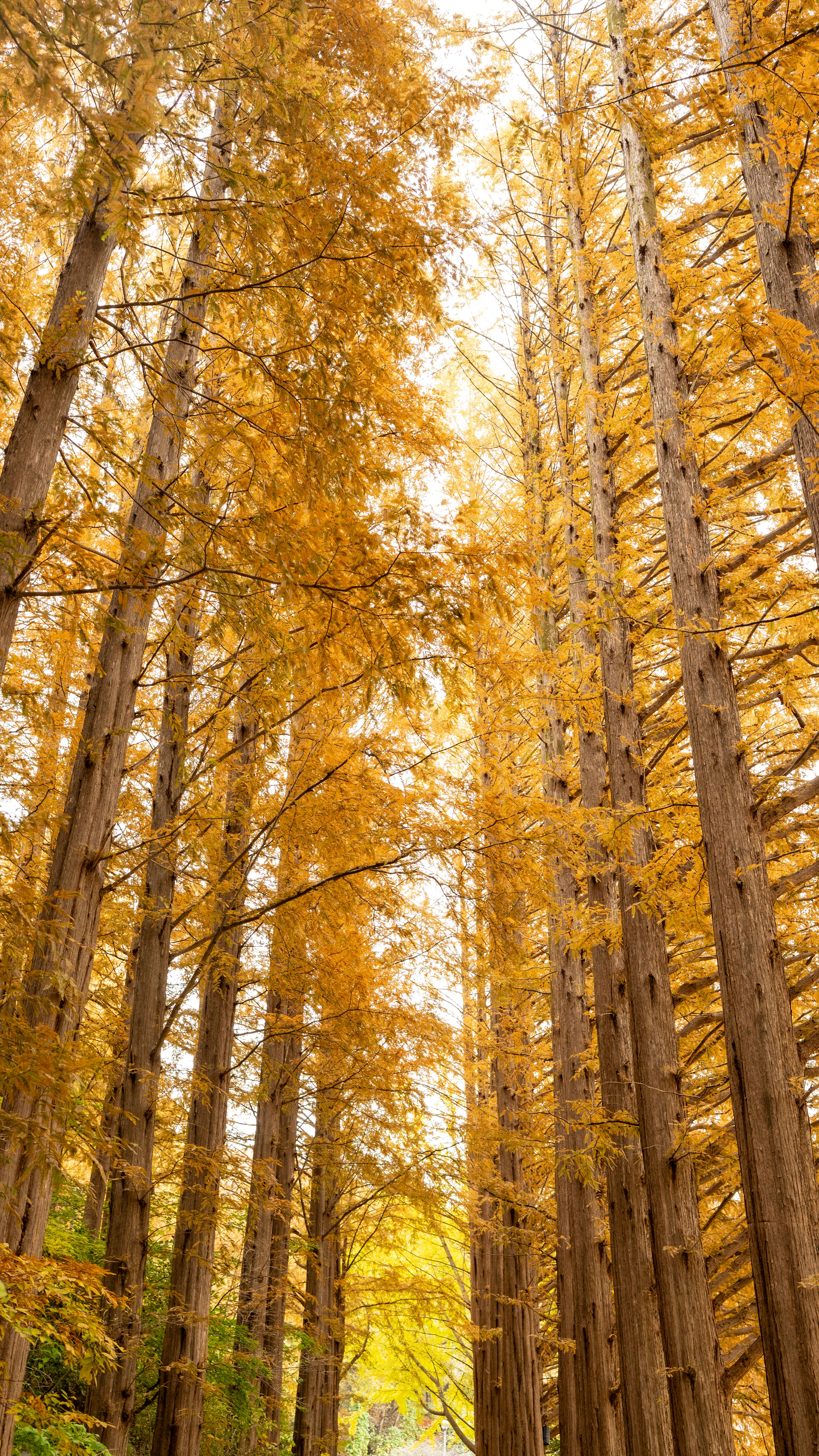 Photo by hyewonphotography