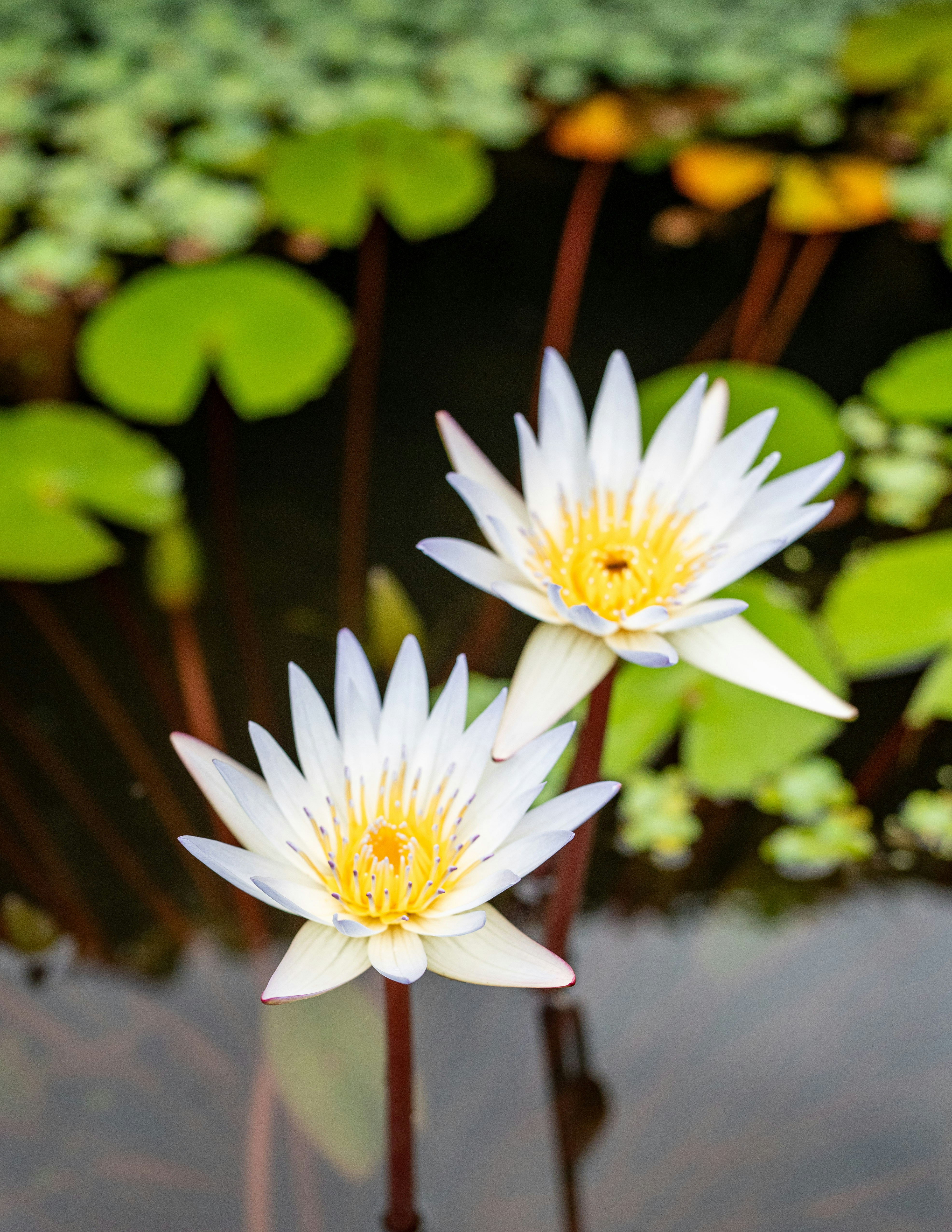 Photo by hyewonphotography