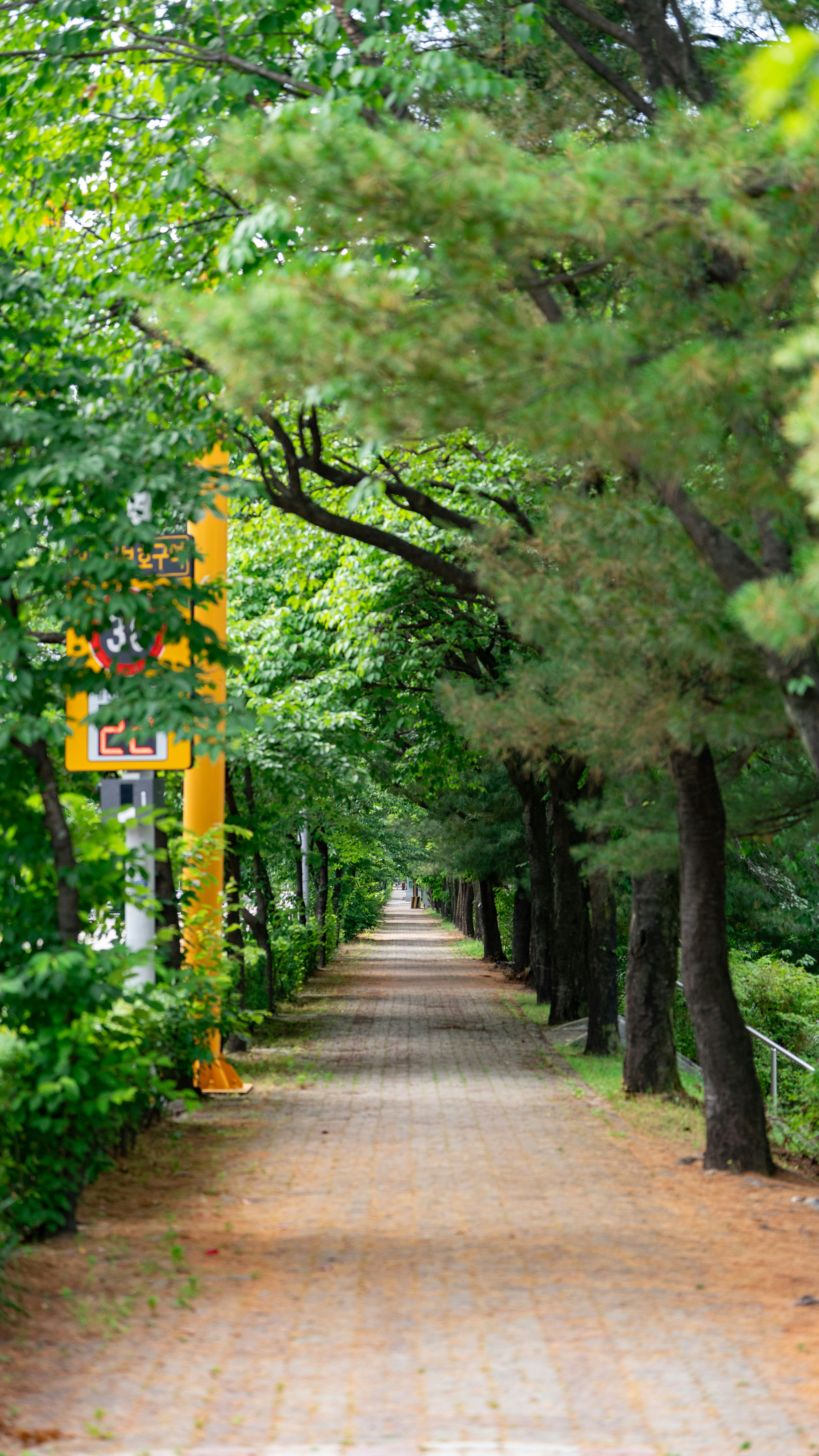 Photo by hyewonphotography