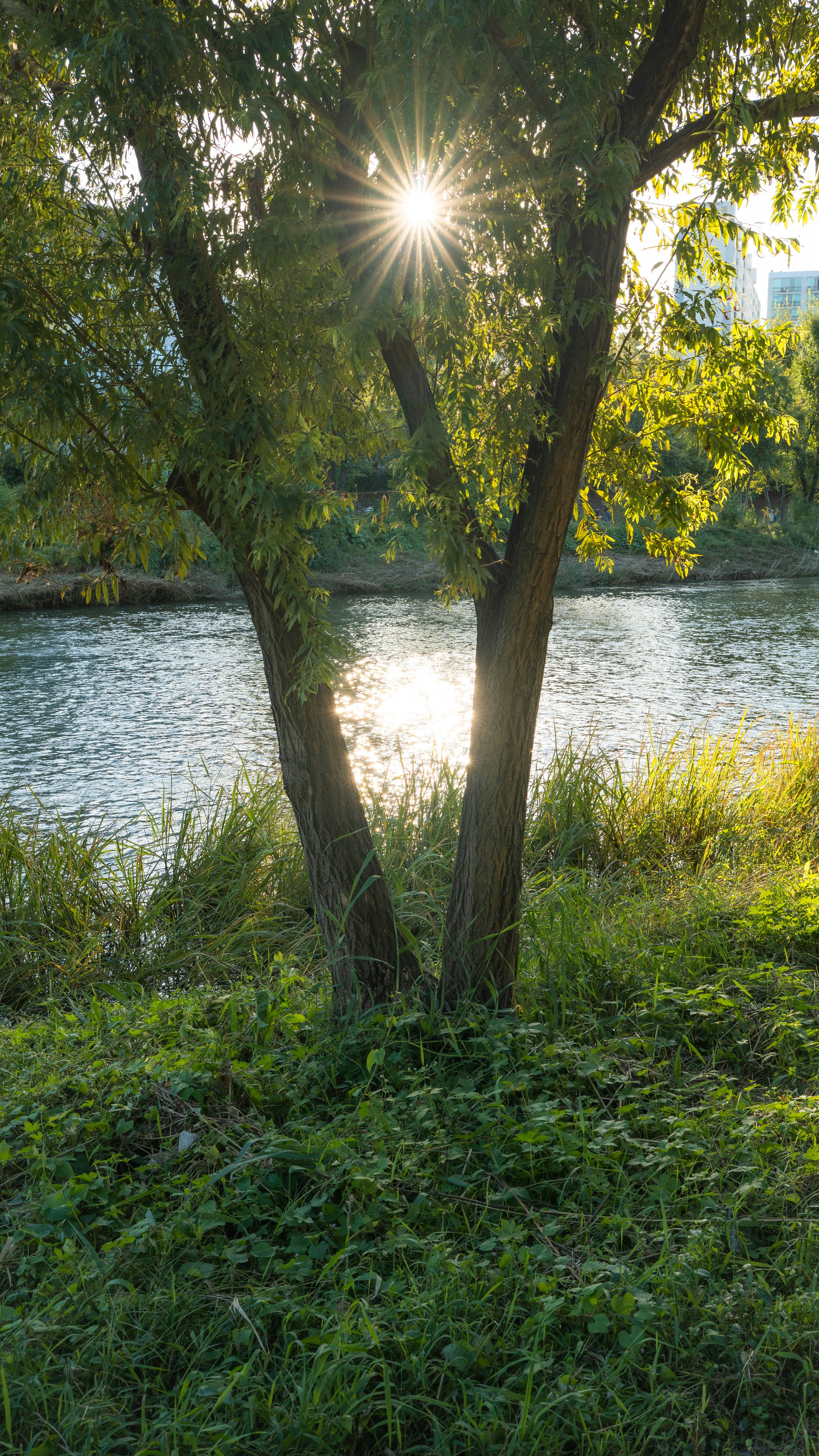 Photo by hyewonphotography