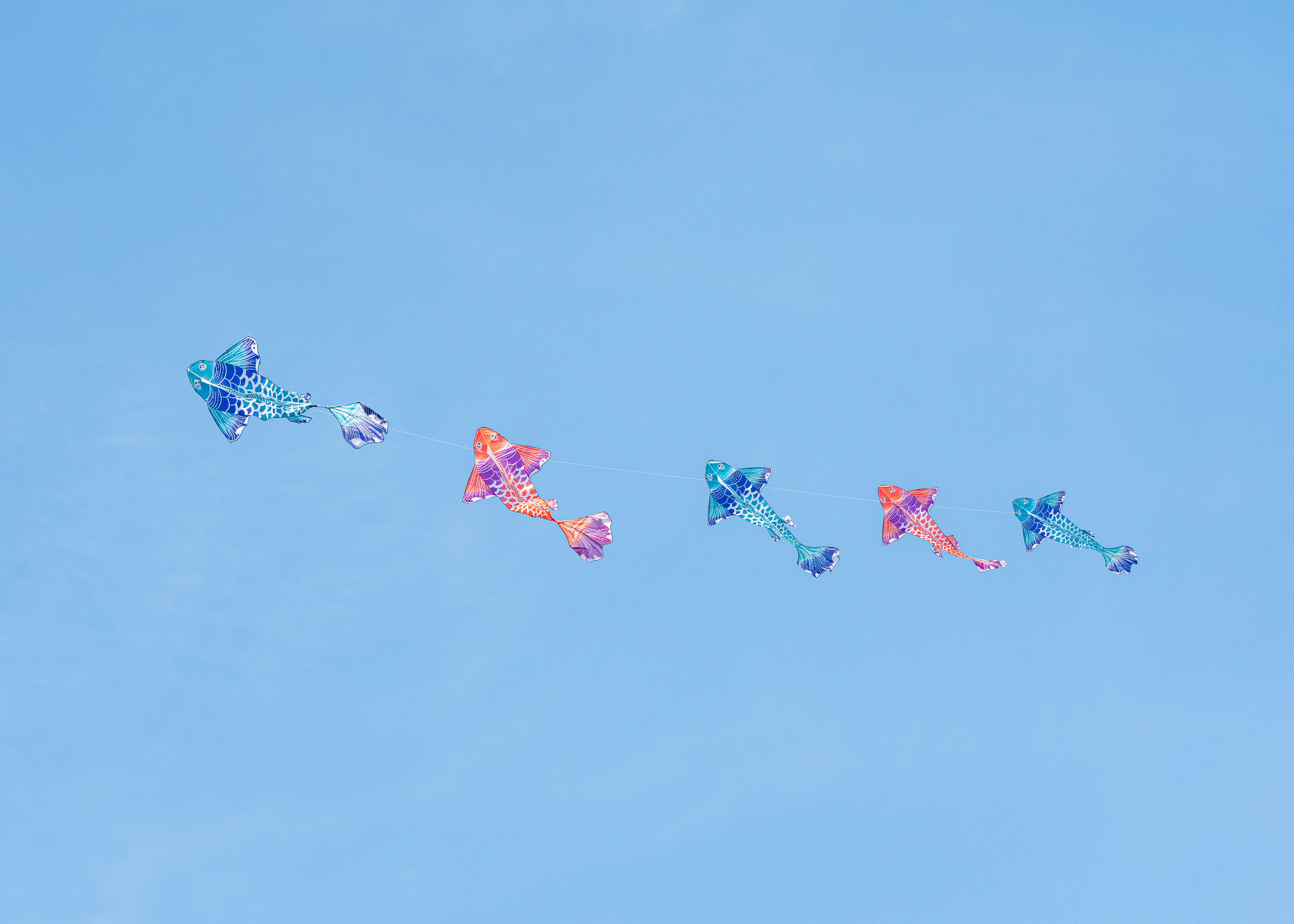 Diversi aquiloni colorati volavano in un cielo azzurro limpido.