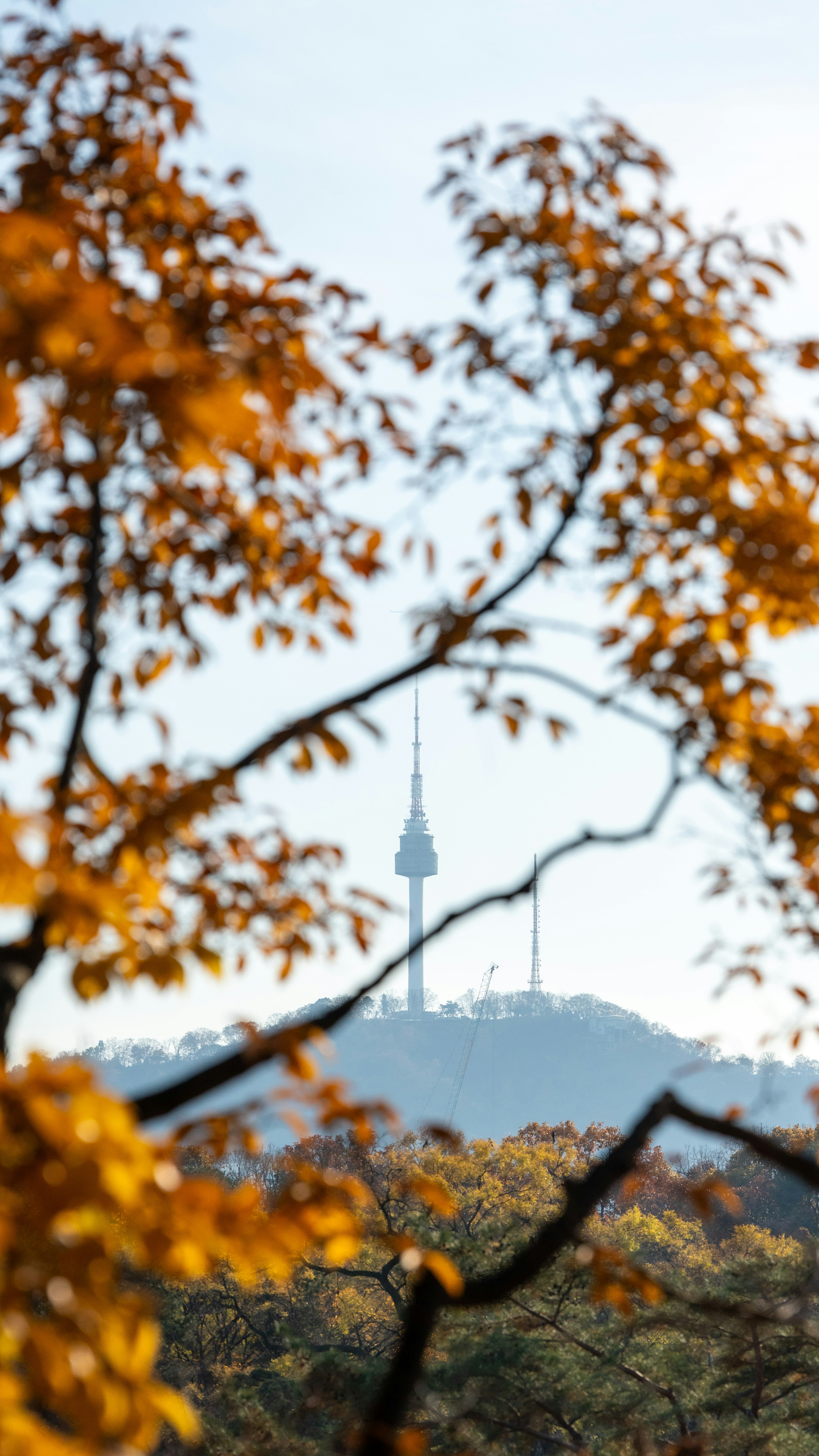 Photo by hyewonphotography