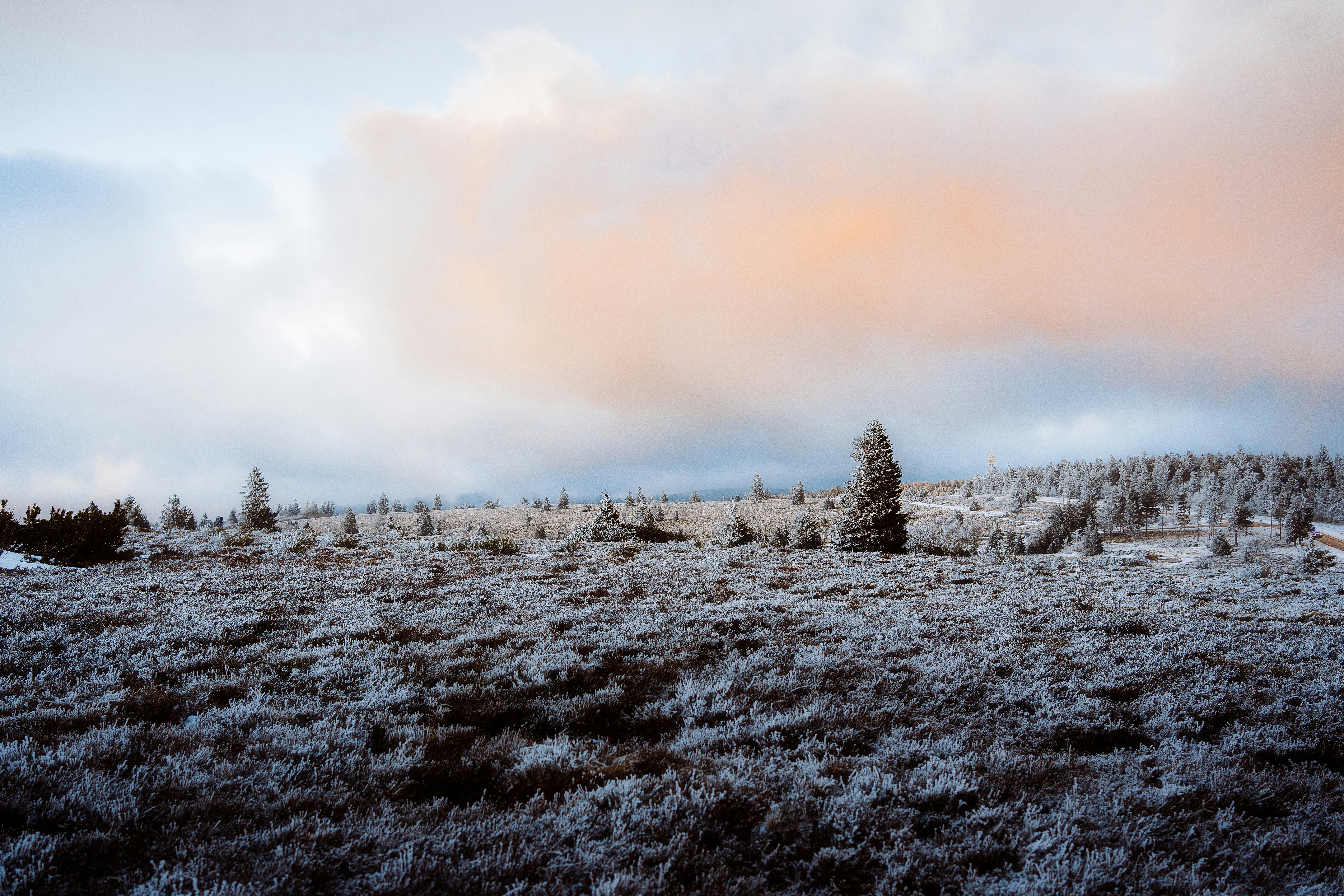 Photo by lephotographelillois