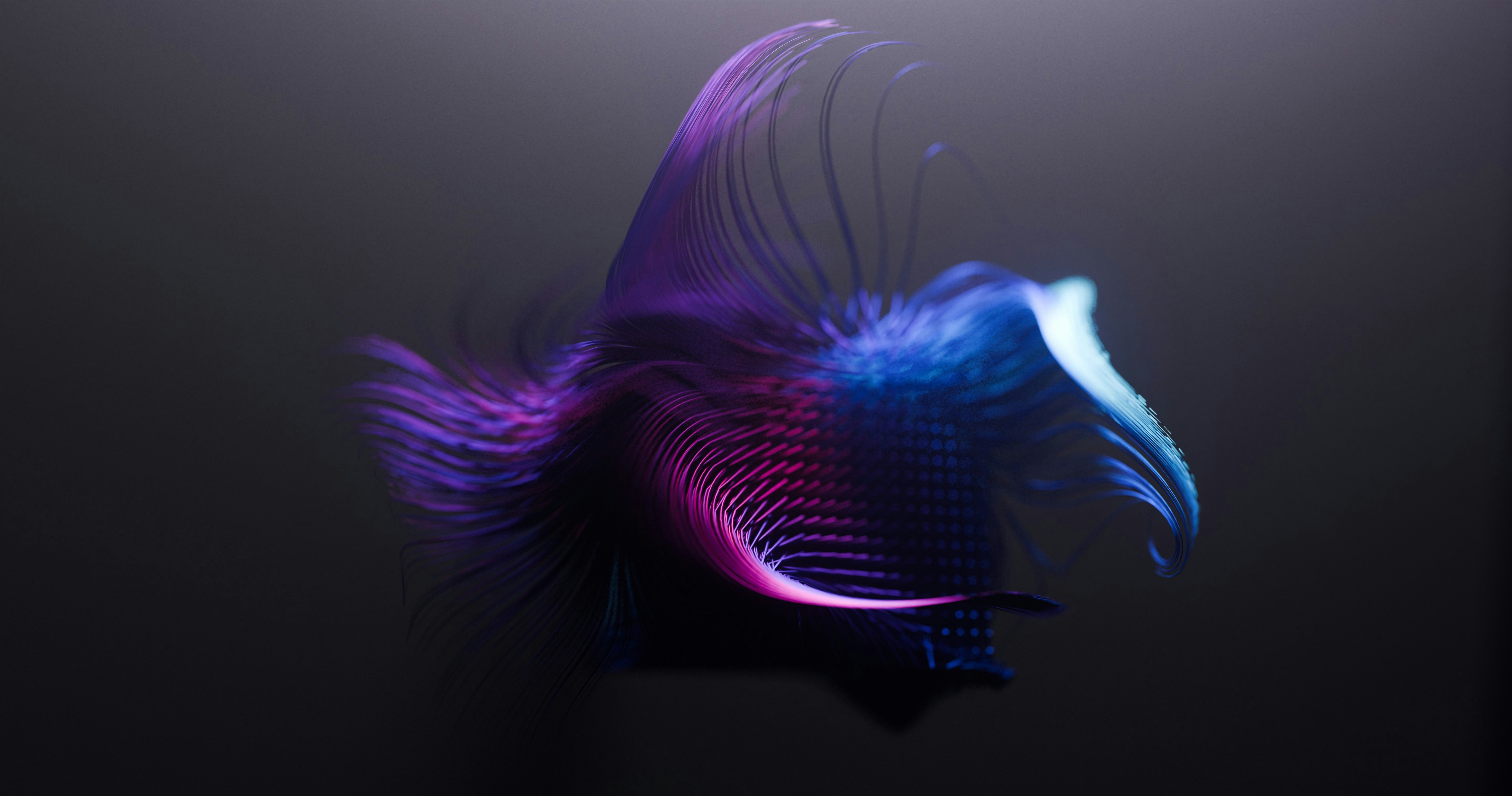 Abstract swirling light streaks in purple and blue