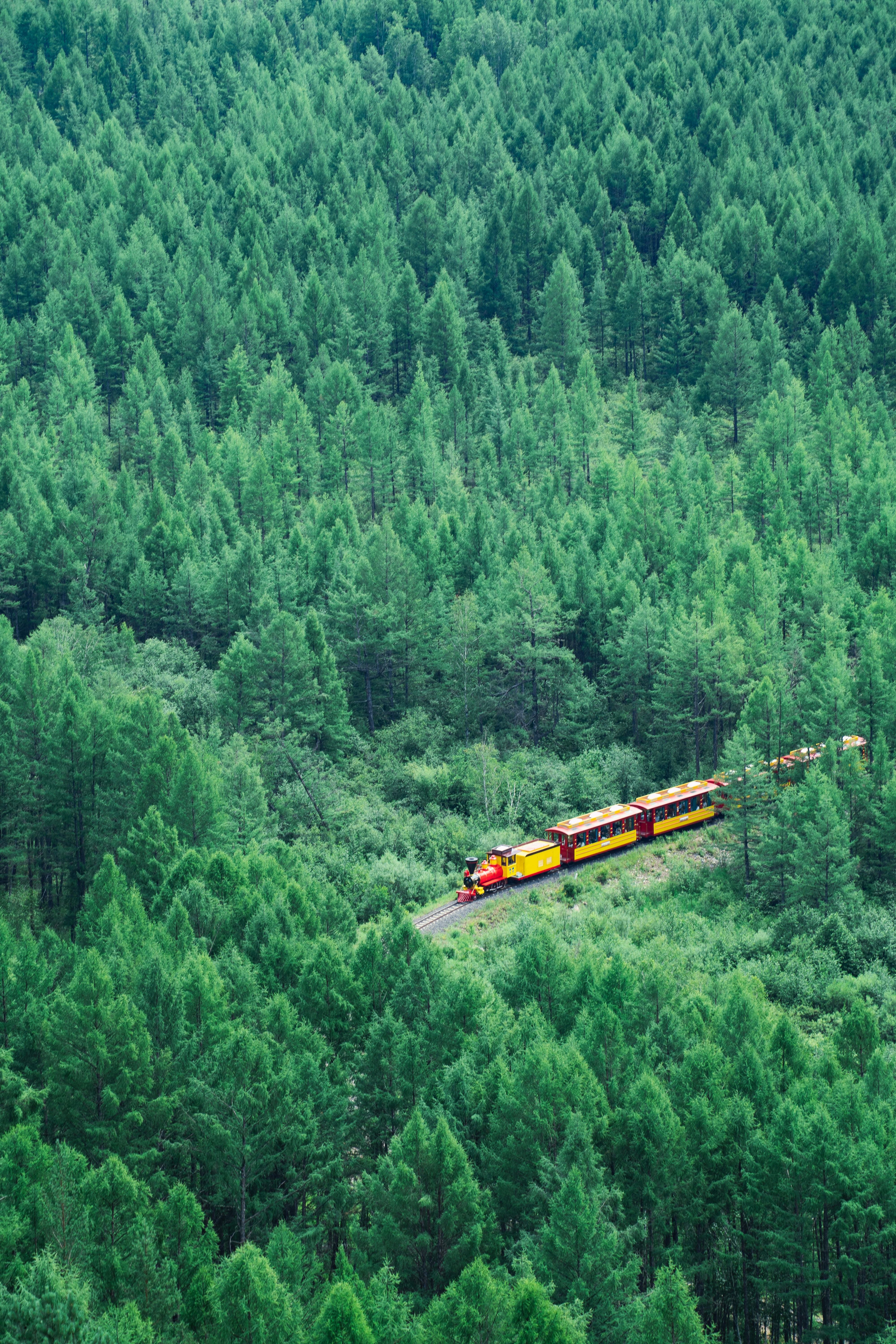 Photo by cjoyb_zheng