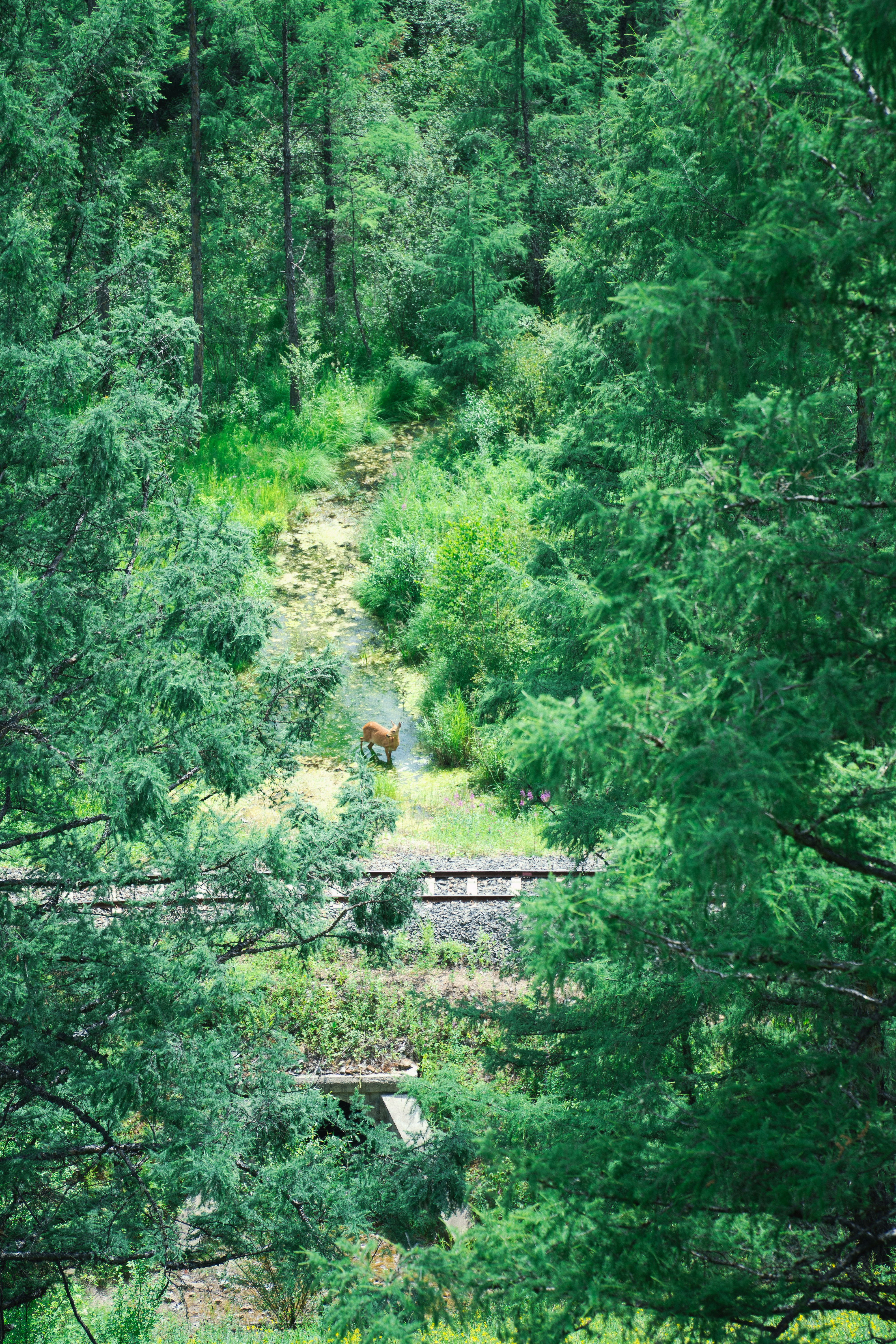 Photo by cjoyb_zheng