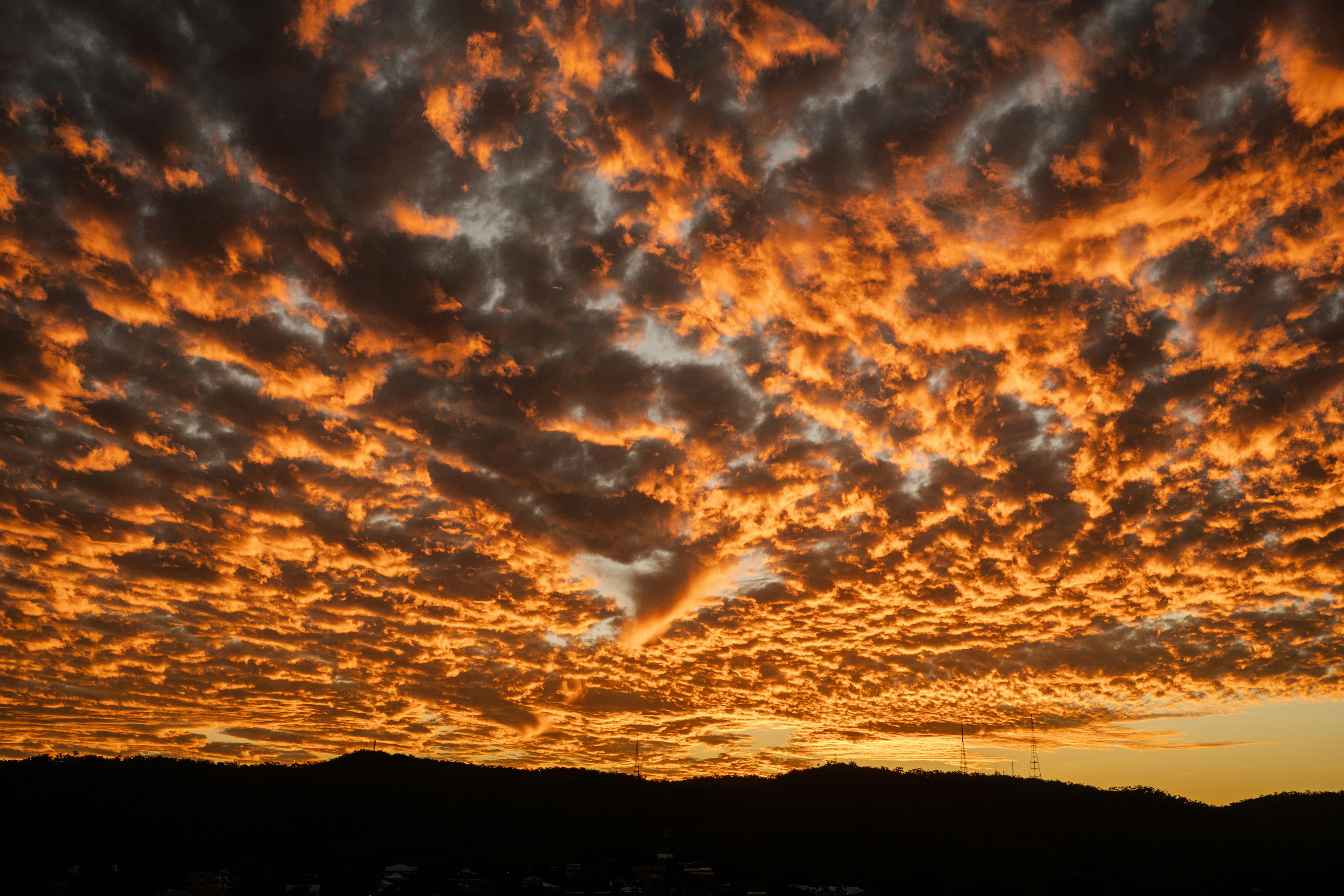 Photo by cjoyb_zheng