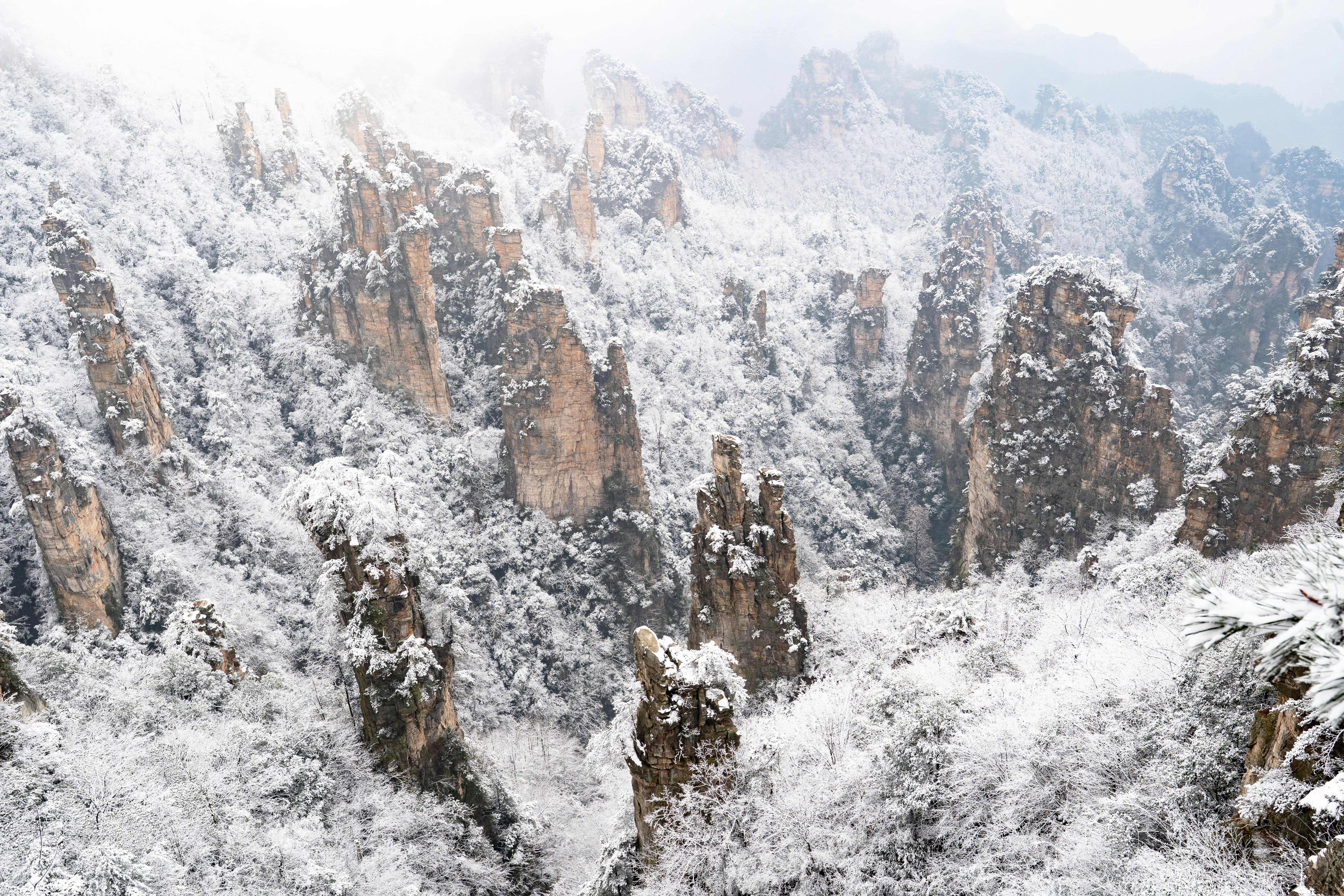 Photo by cjoyb_zheng