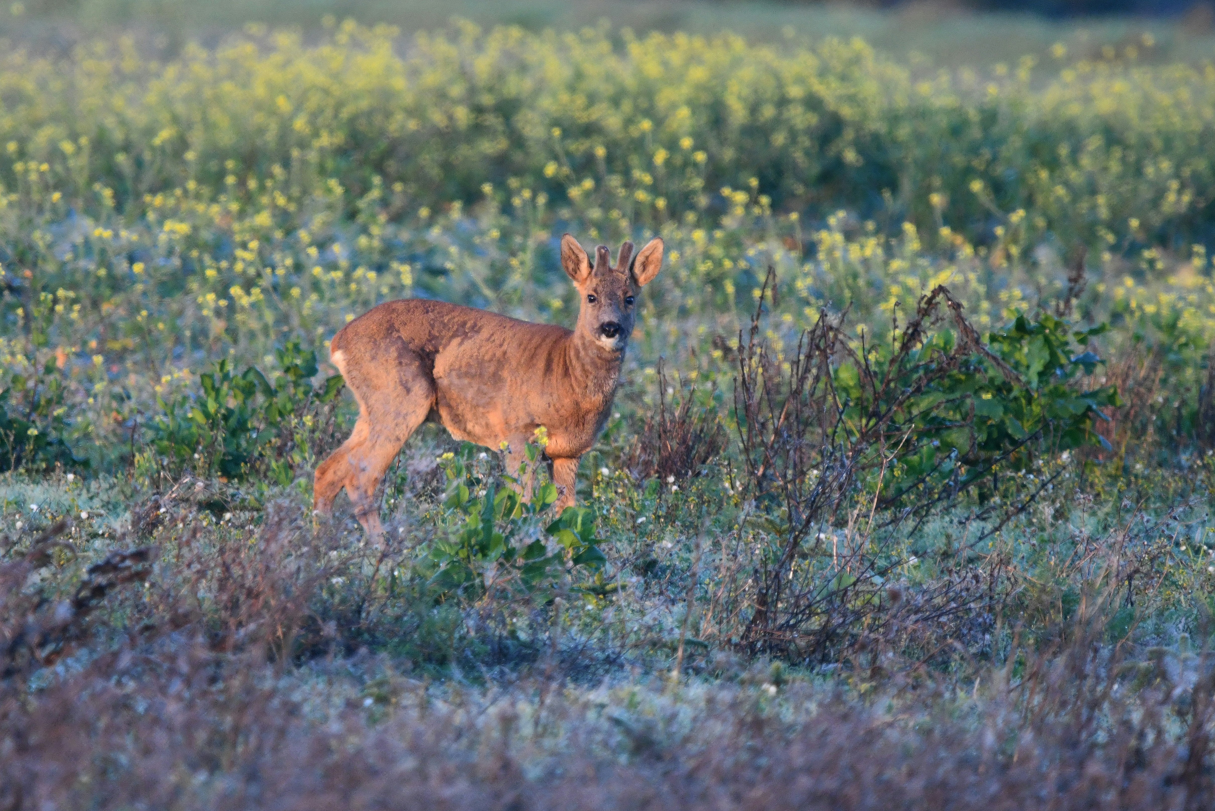 Photo by geraldine86170