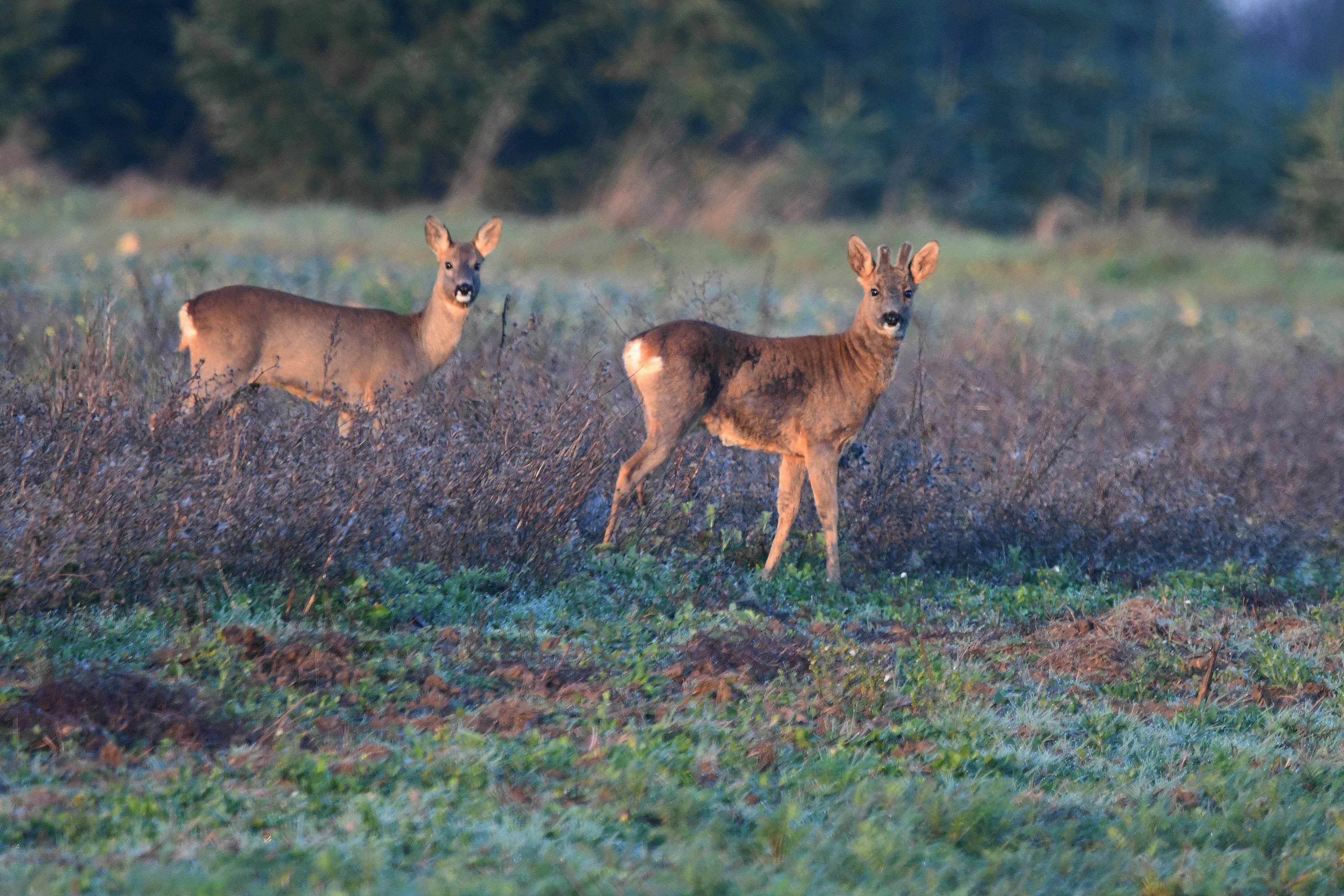 Photo by geraldine86170