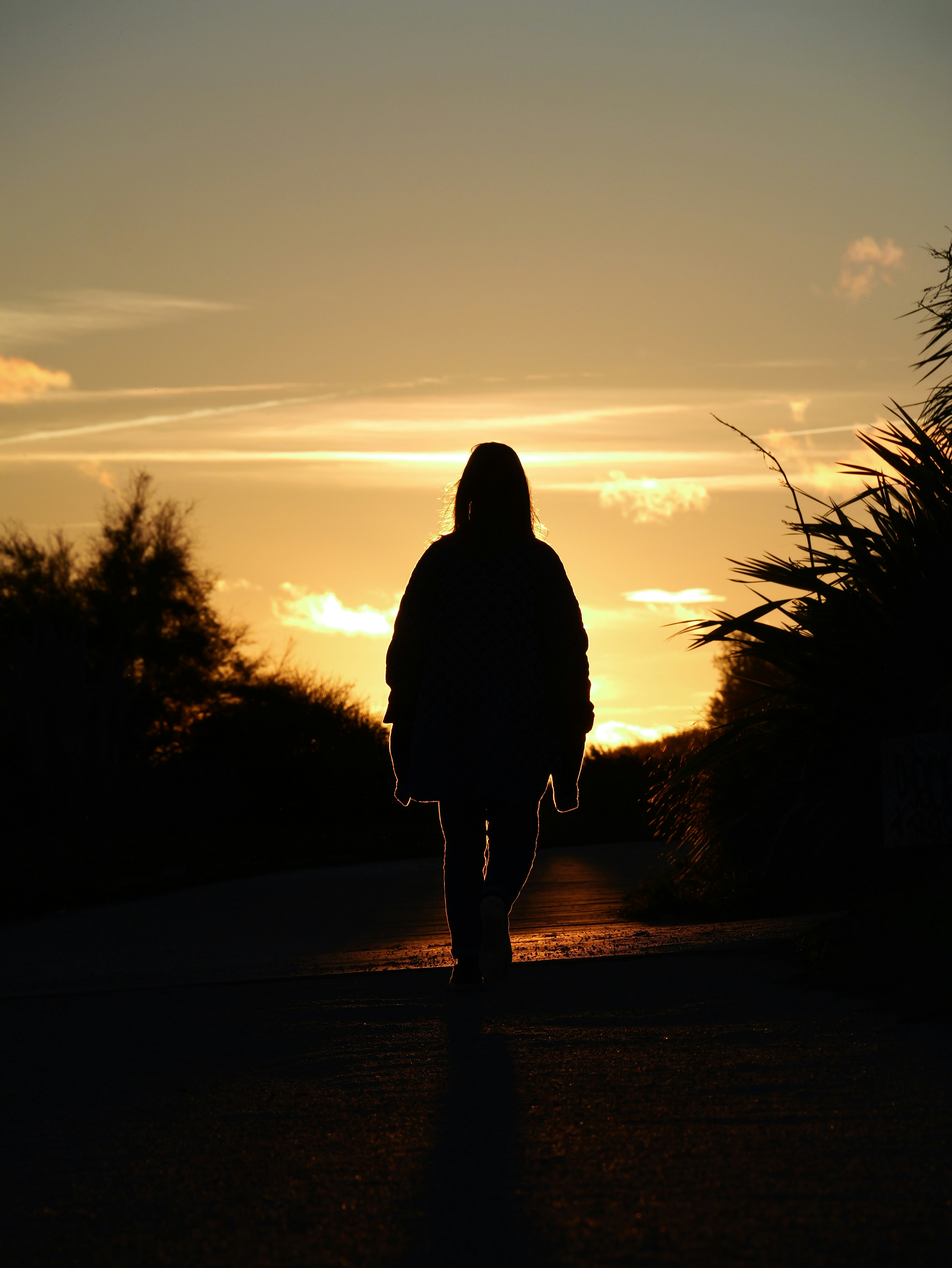 Photo by nimbus_vulpis