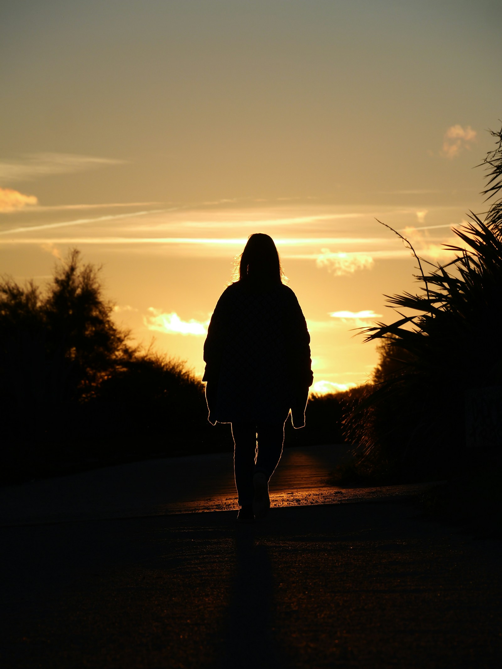 A person walking away down a path, seen only in silhouette against a low sun