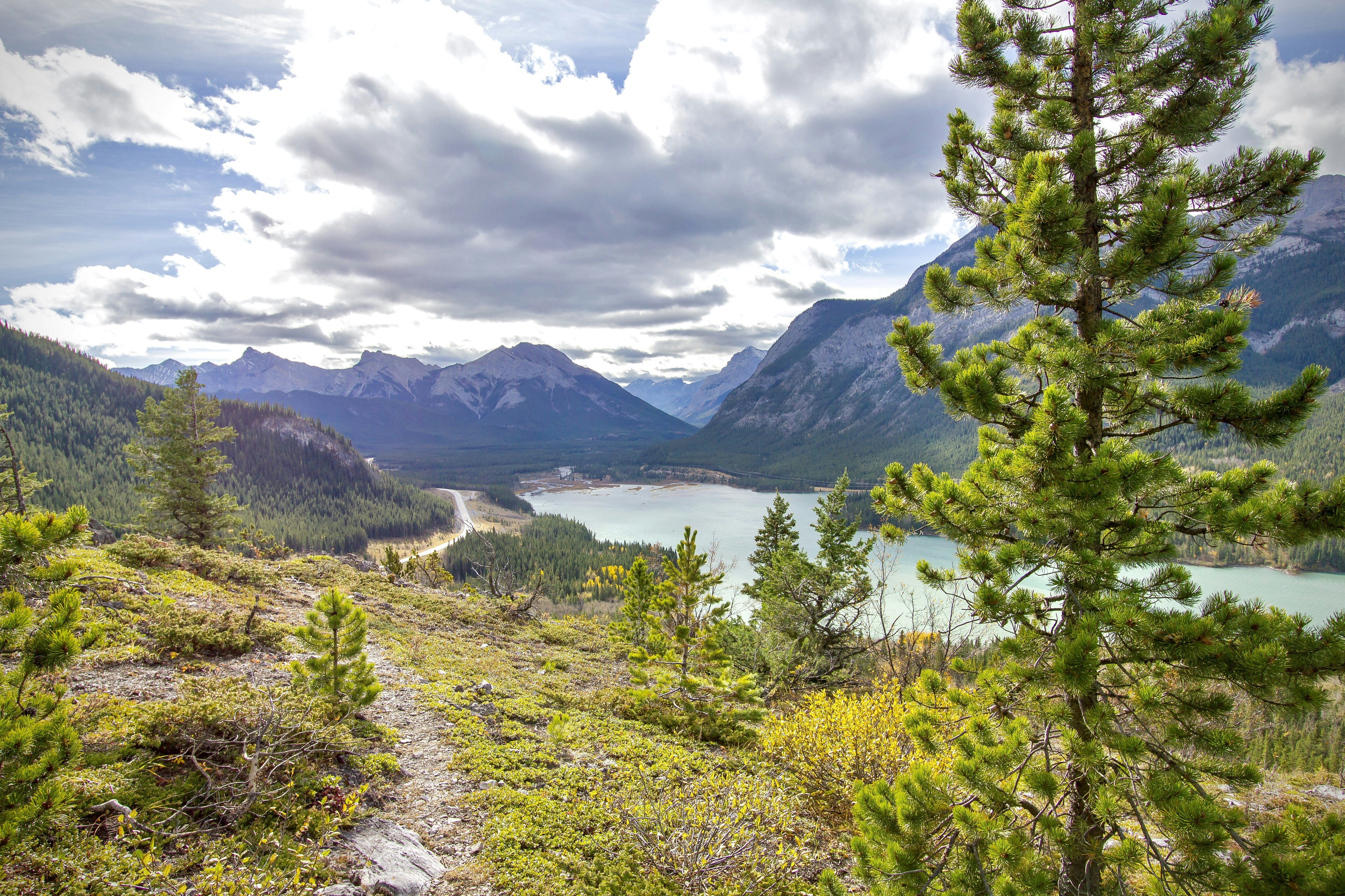 Mountain landscape with a lake and trees
