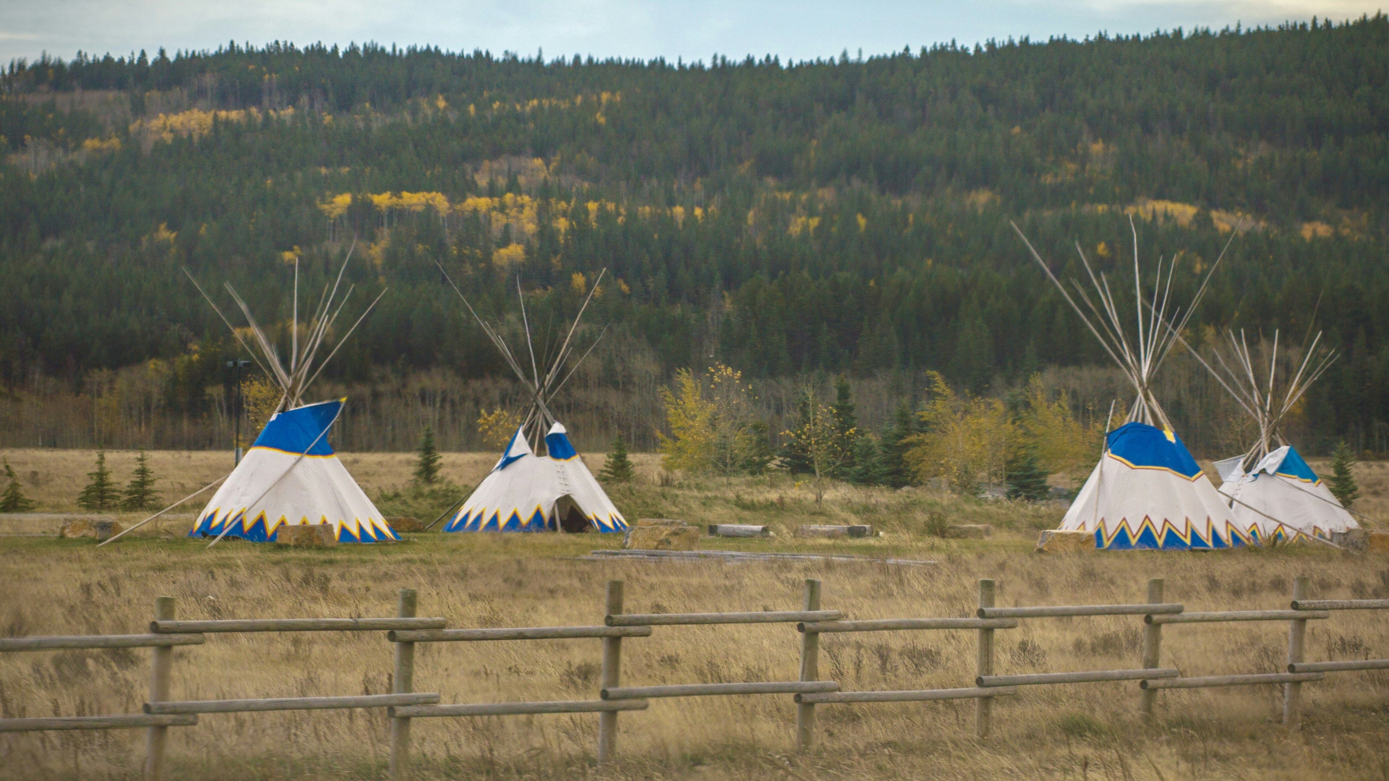 Three tipis stand in a field with autumn trees.