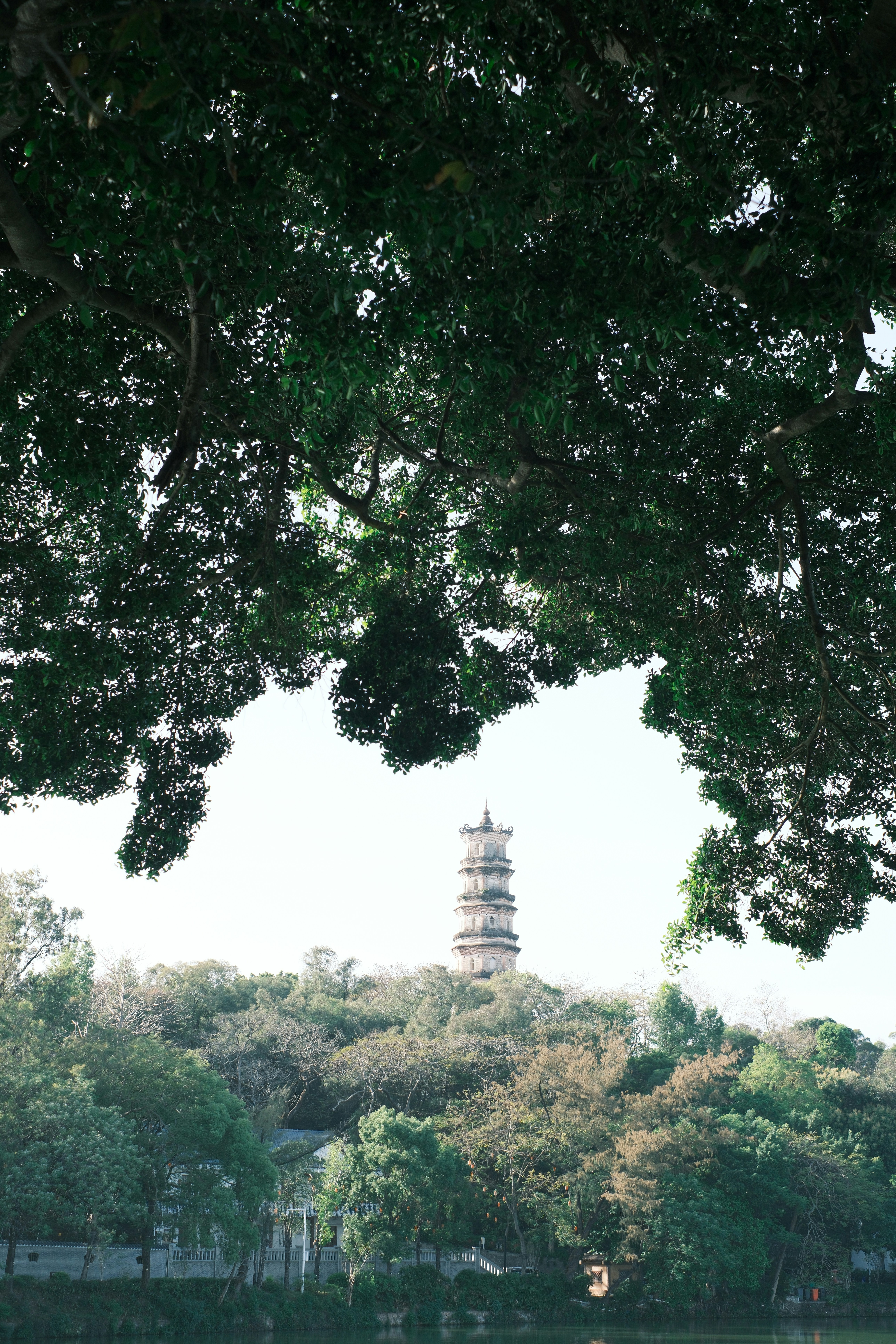 Photo by film002