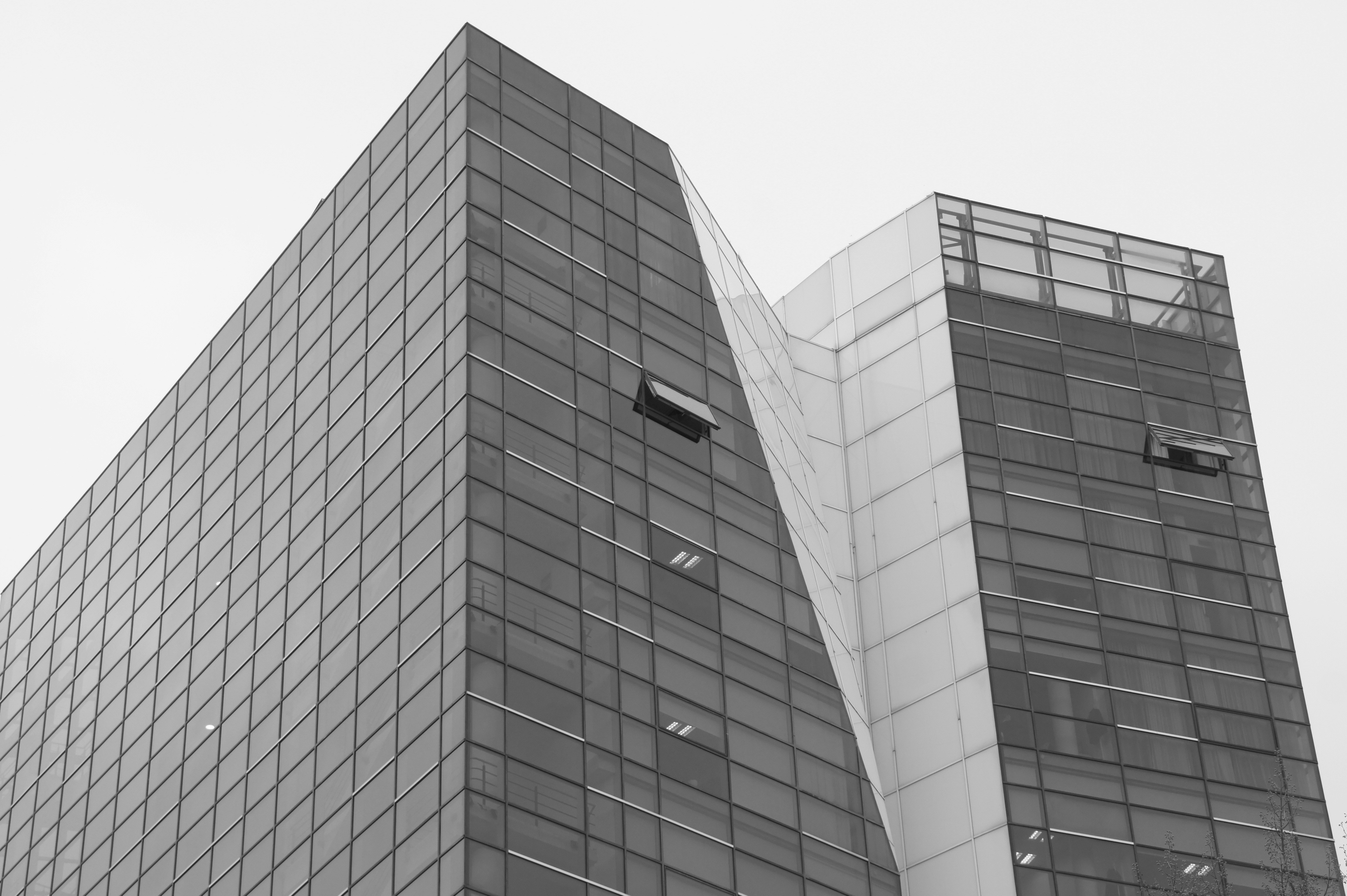 Photo by notprivatenotrare