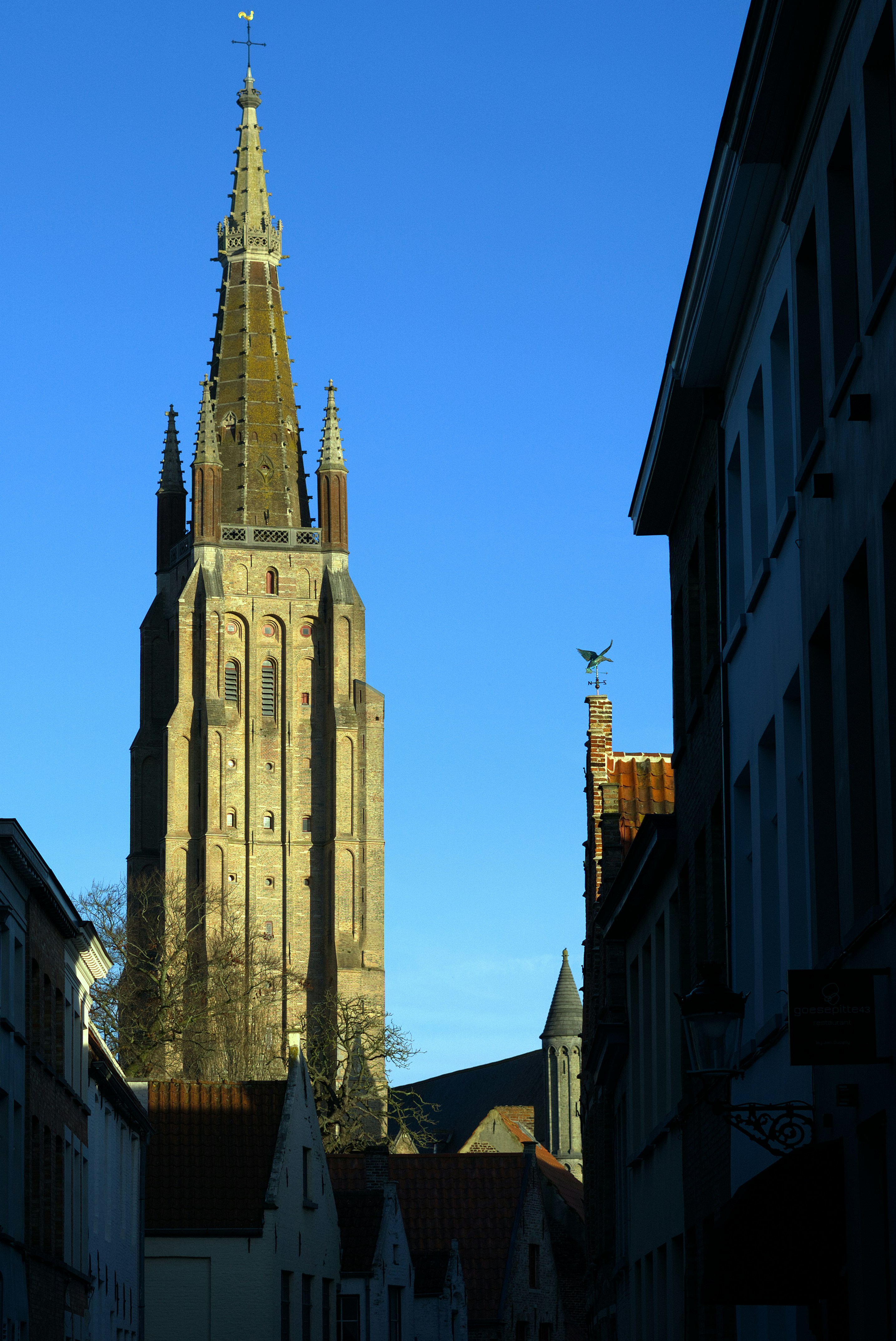 Photo by tyrant_nihilus