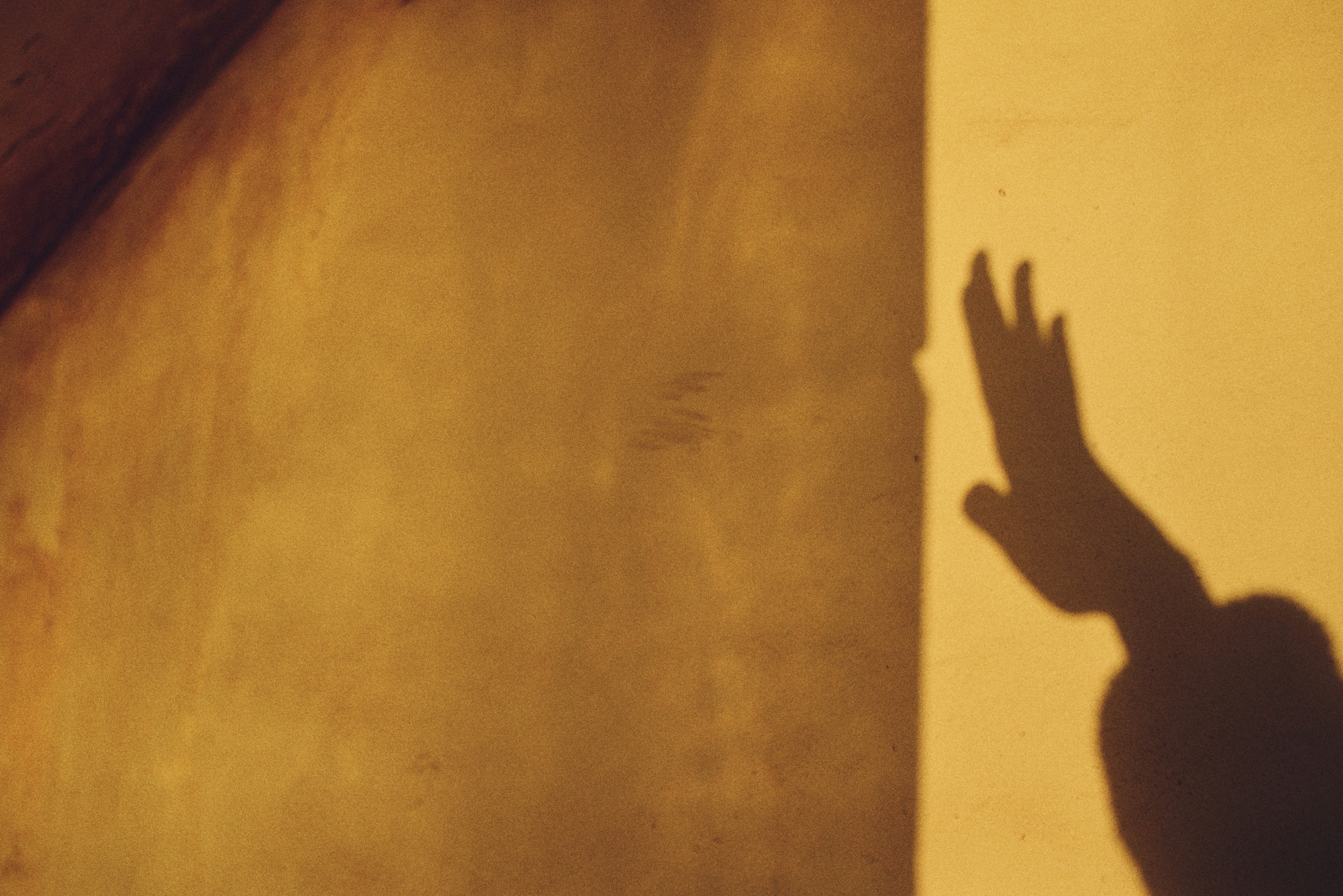 Photo by cherstve_pechivo