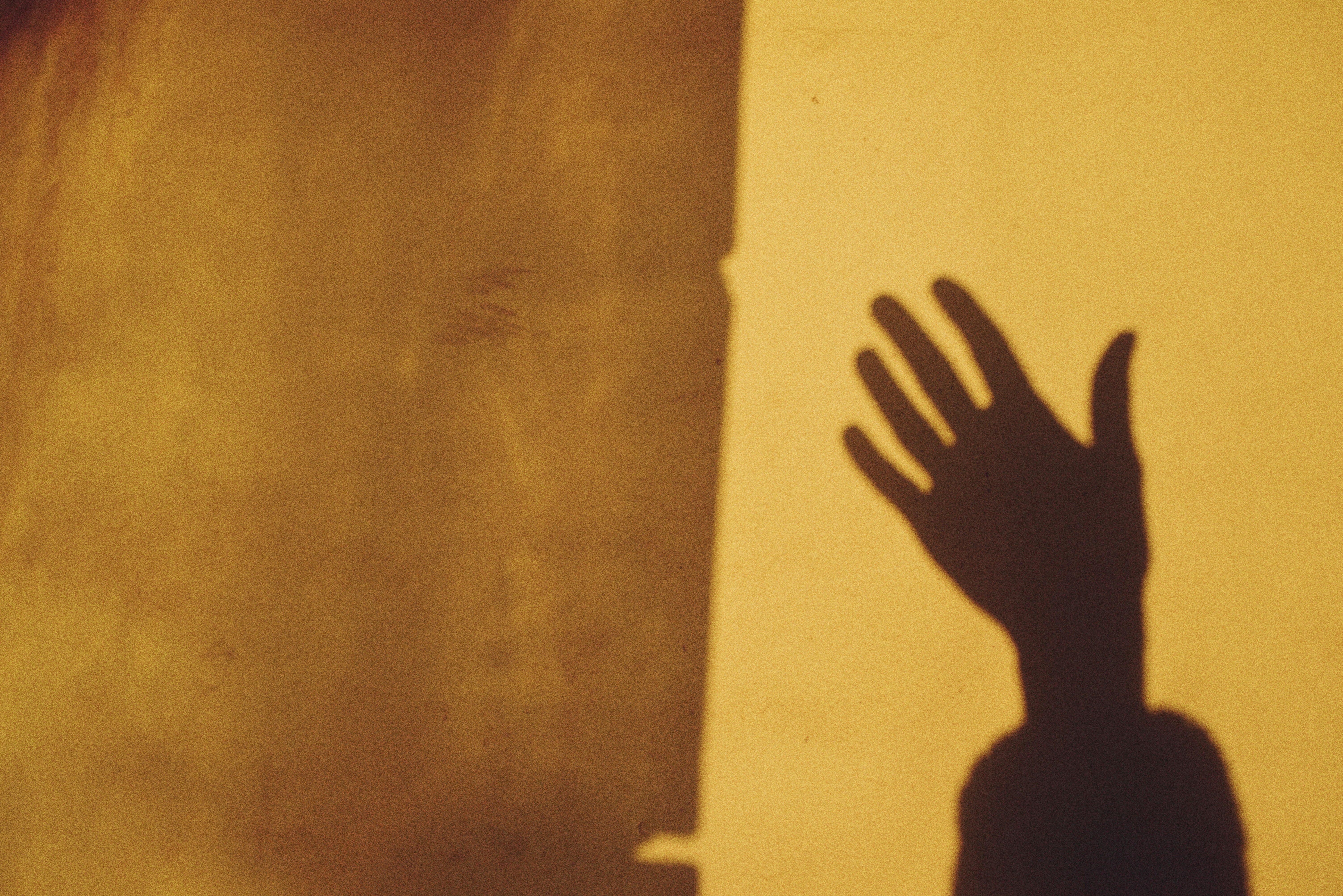 Photo by cherstve_pechivo