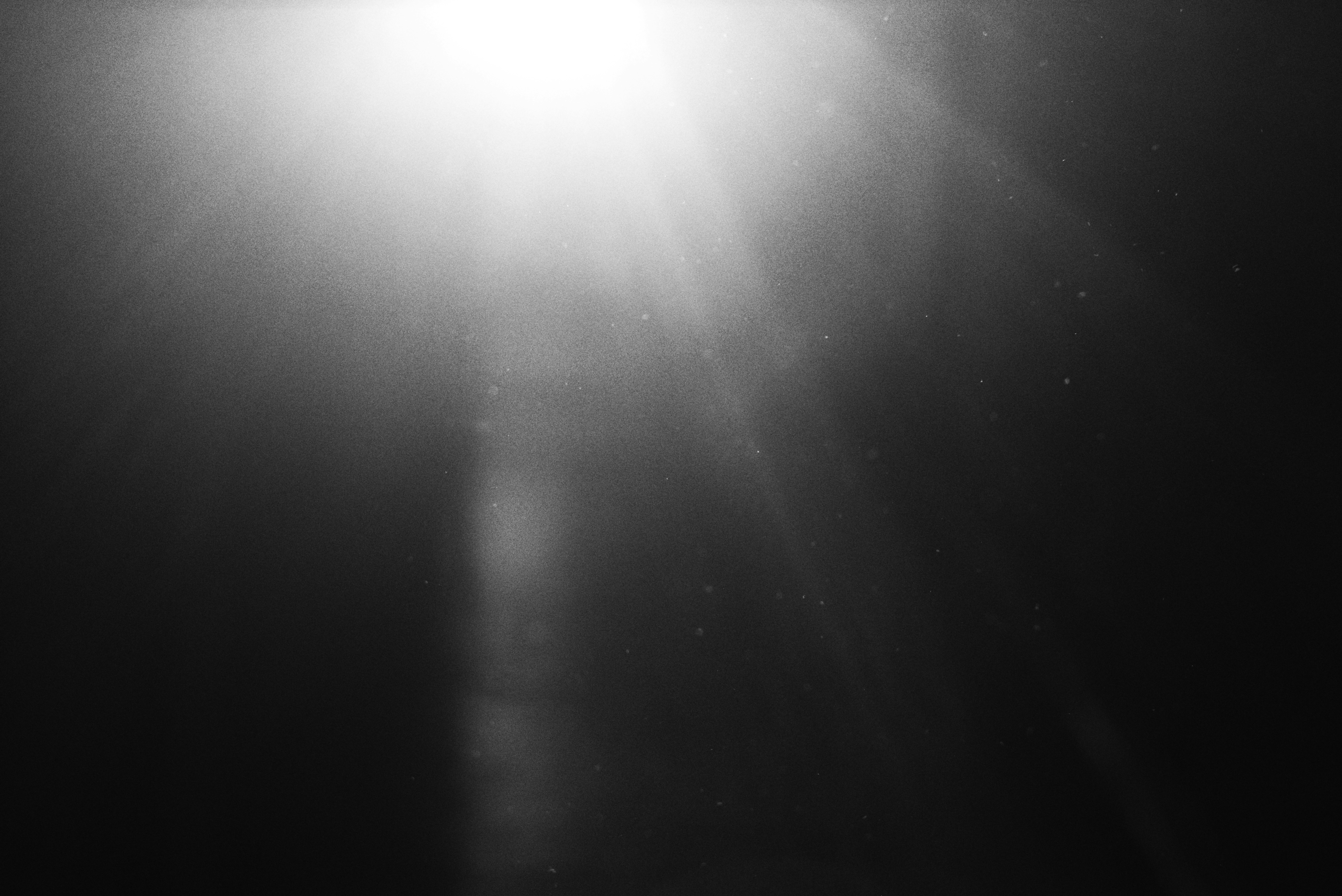 Sunlight streaming through dark water with visible particles