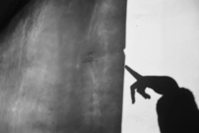 Cine de sombras