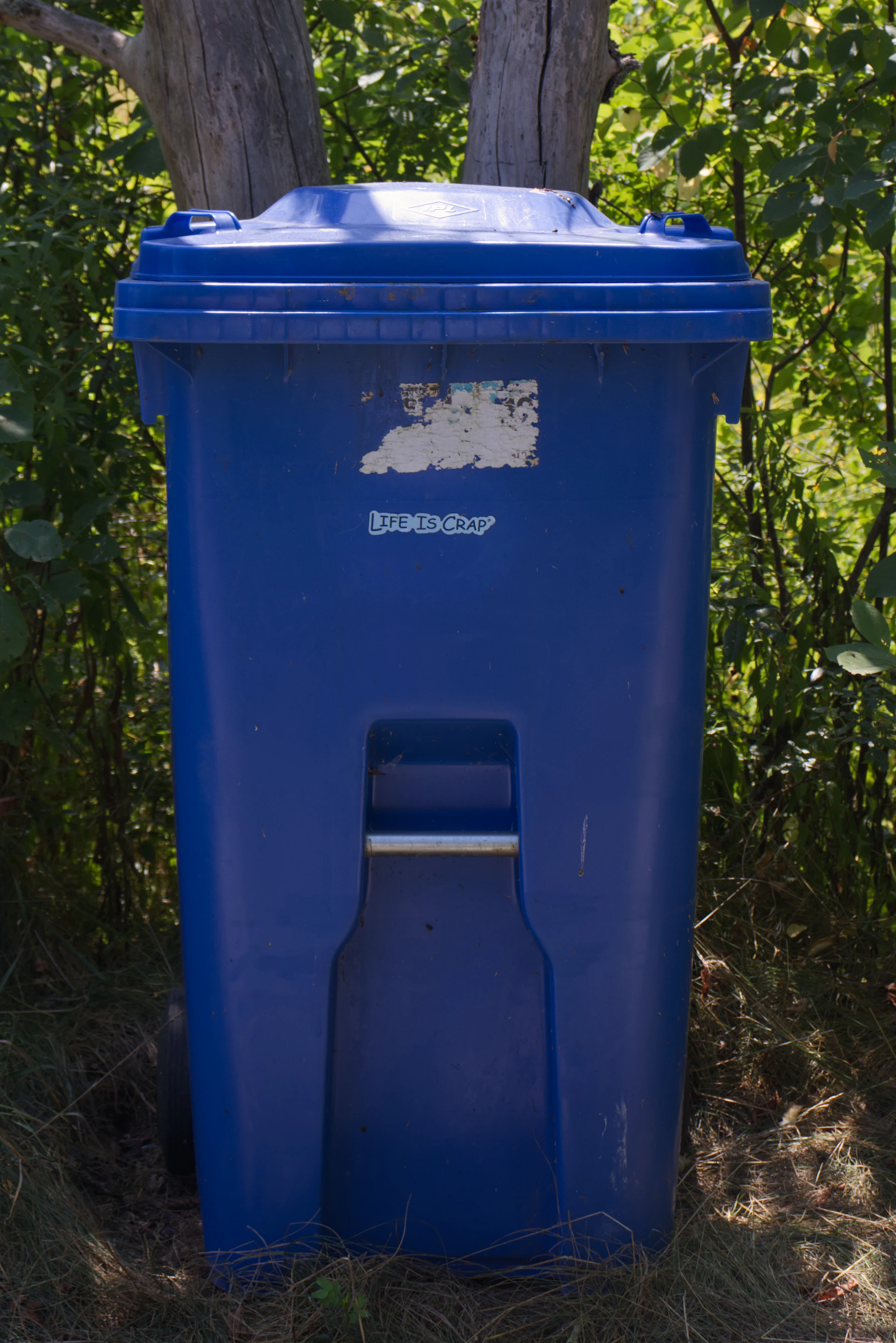 A blue trash can sits outdoors near trees.