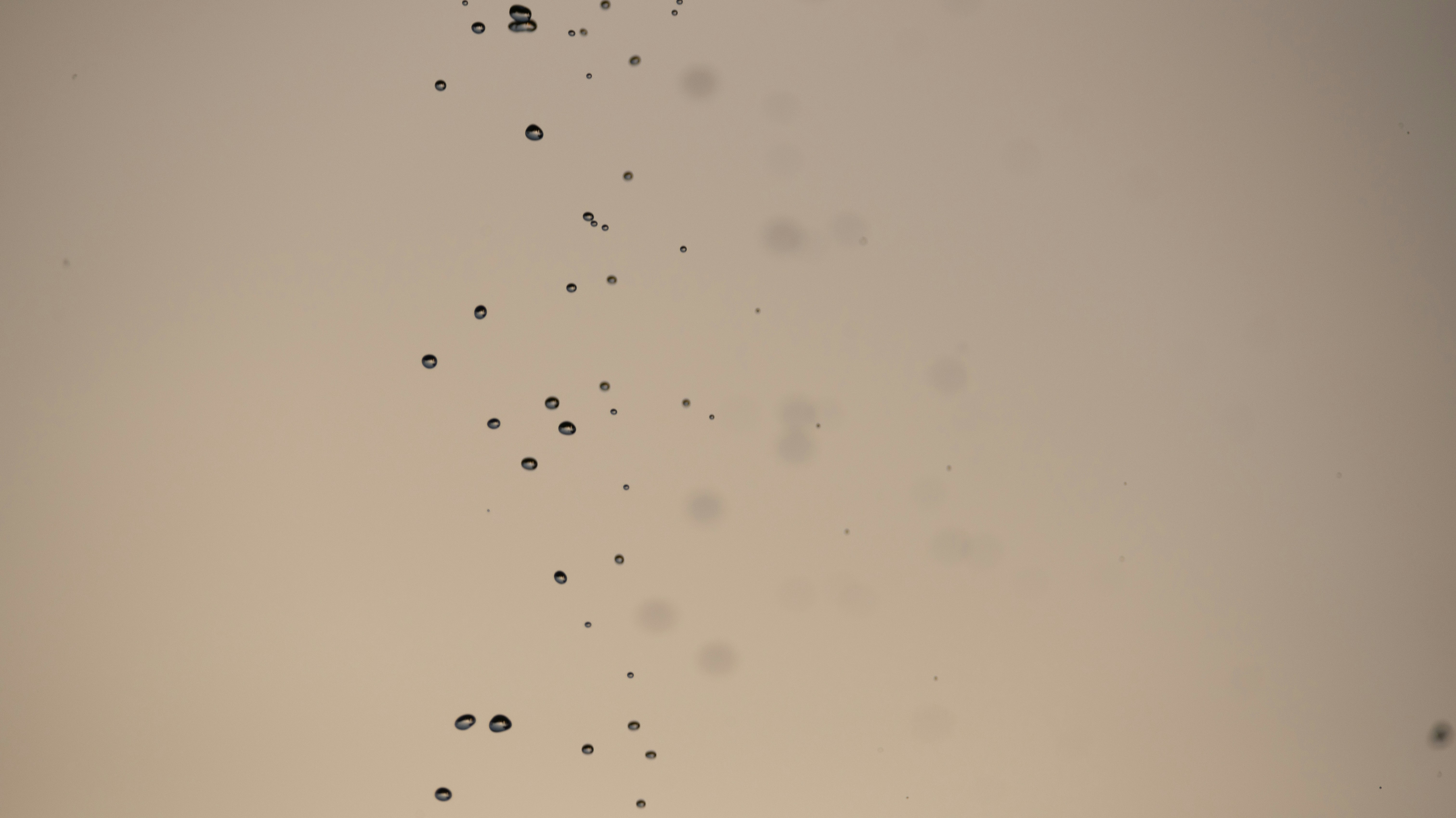 Small dark particles floating against a light background.