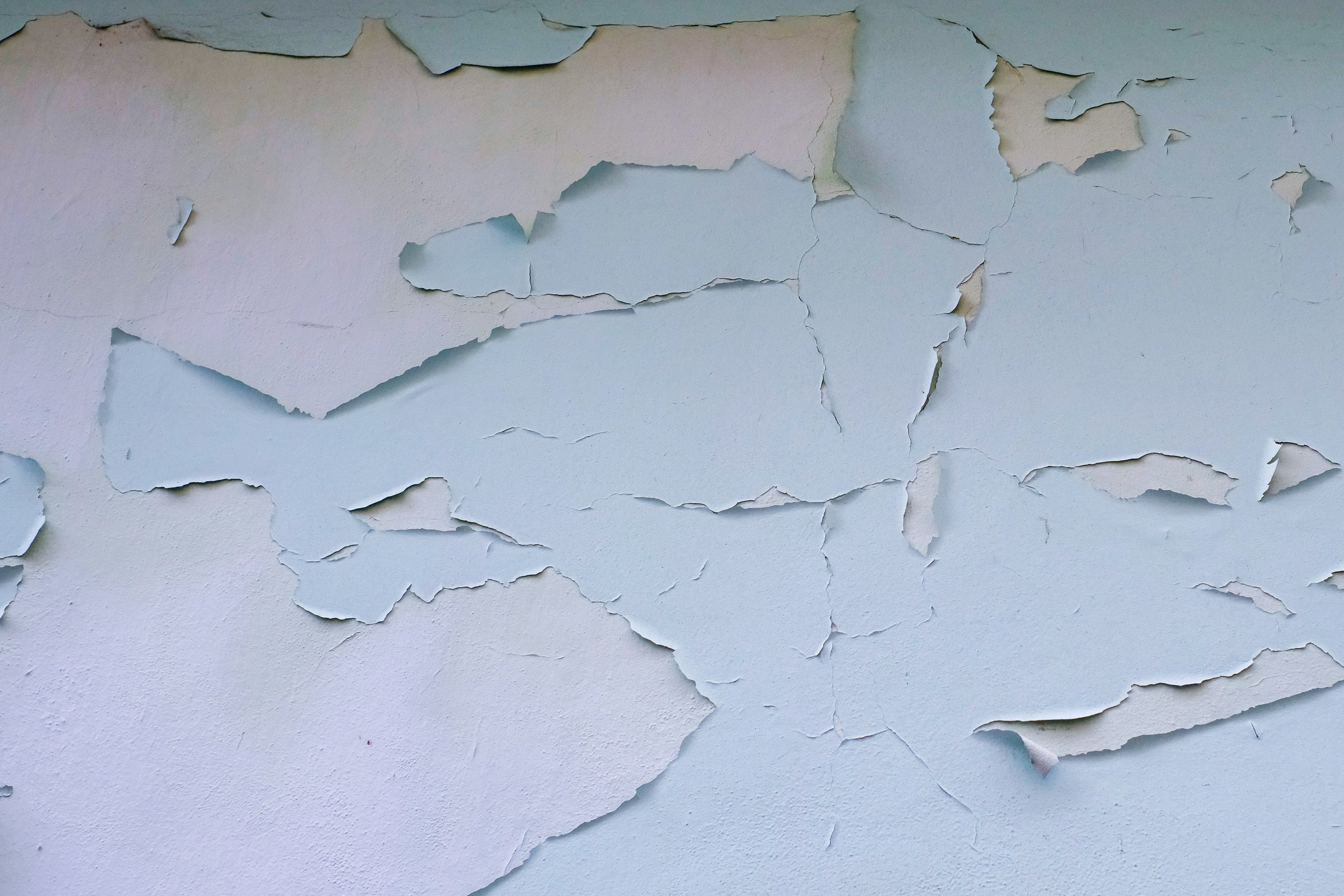 Photo by ginkgoshutter