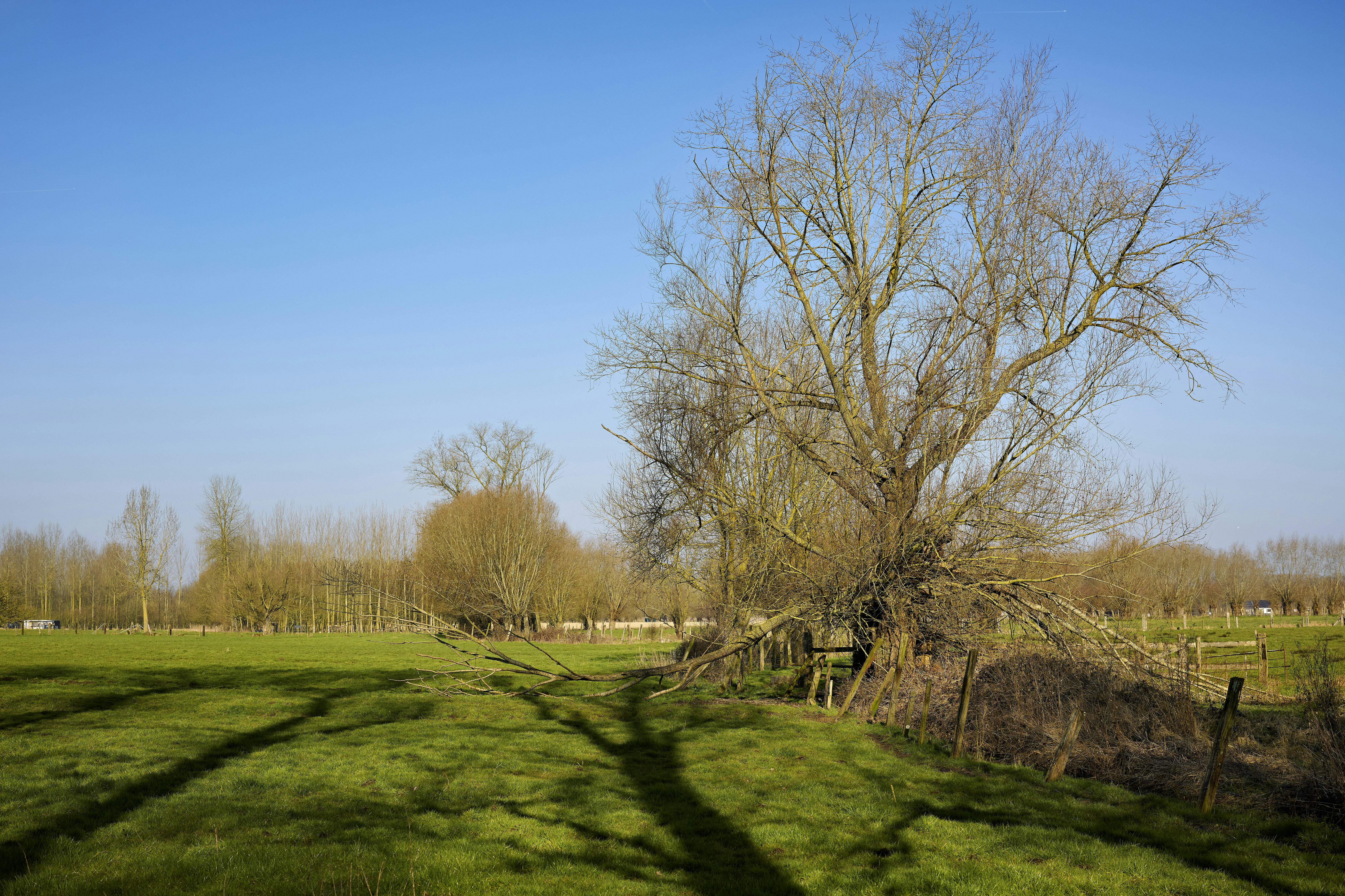 Photo by erwinbosman