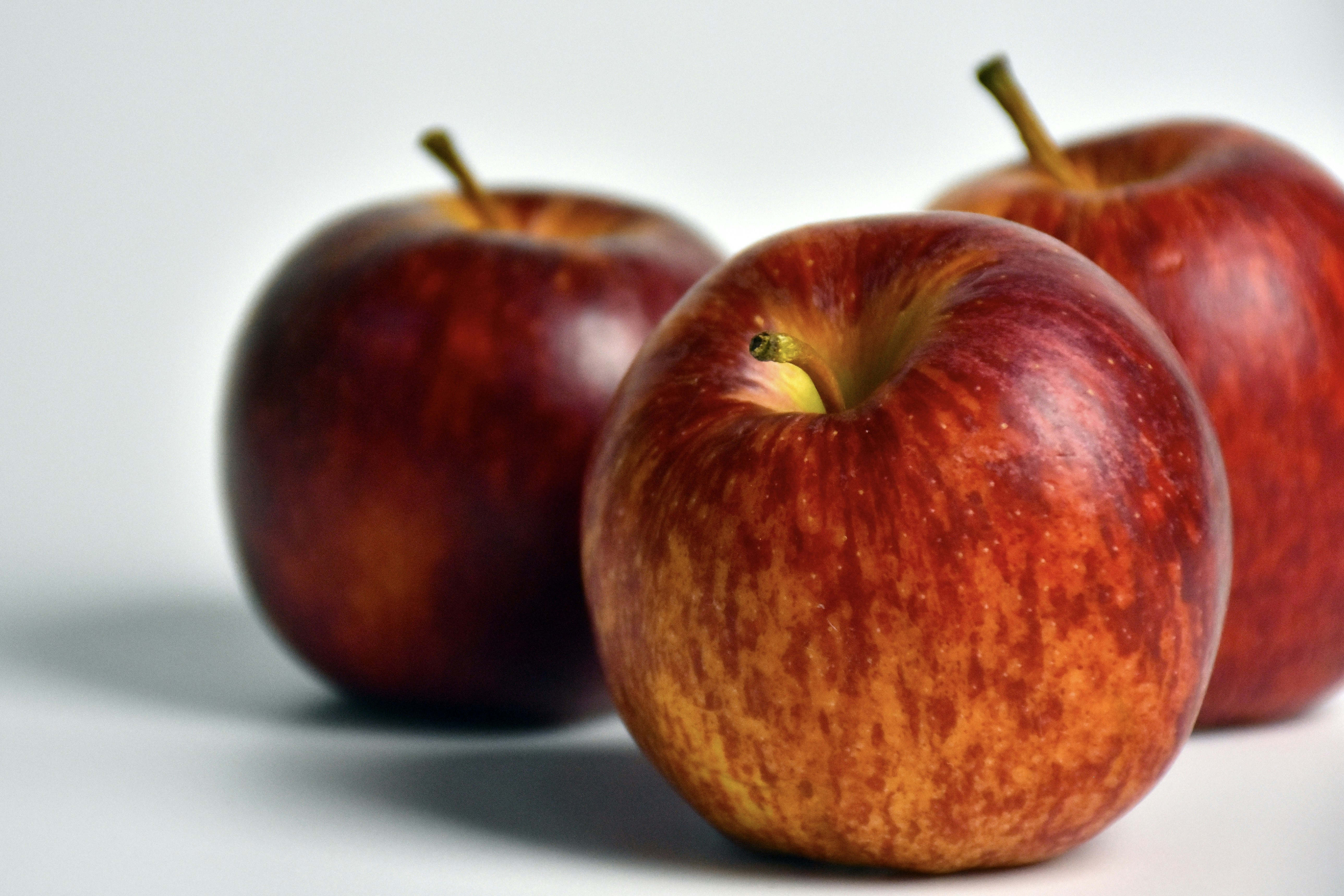 Photo by carmen18forever