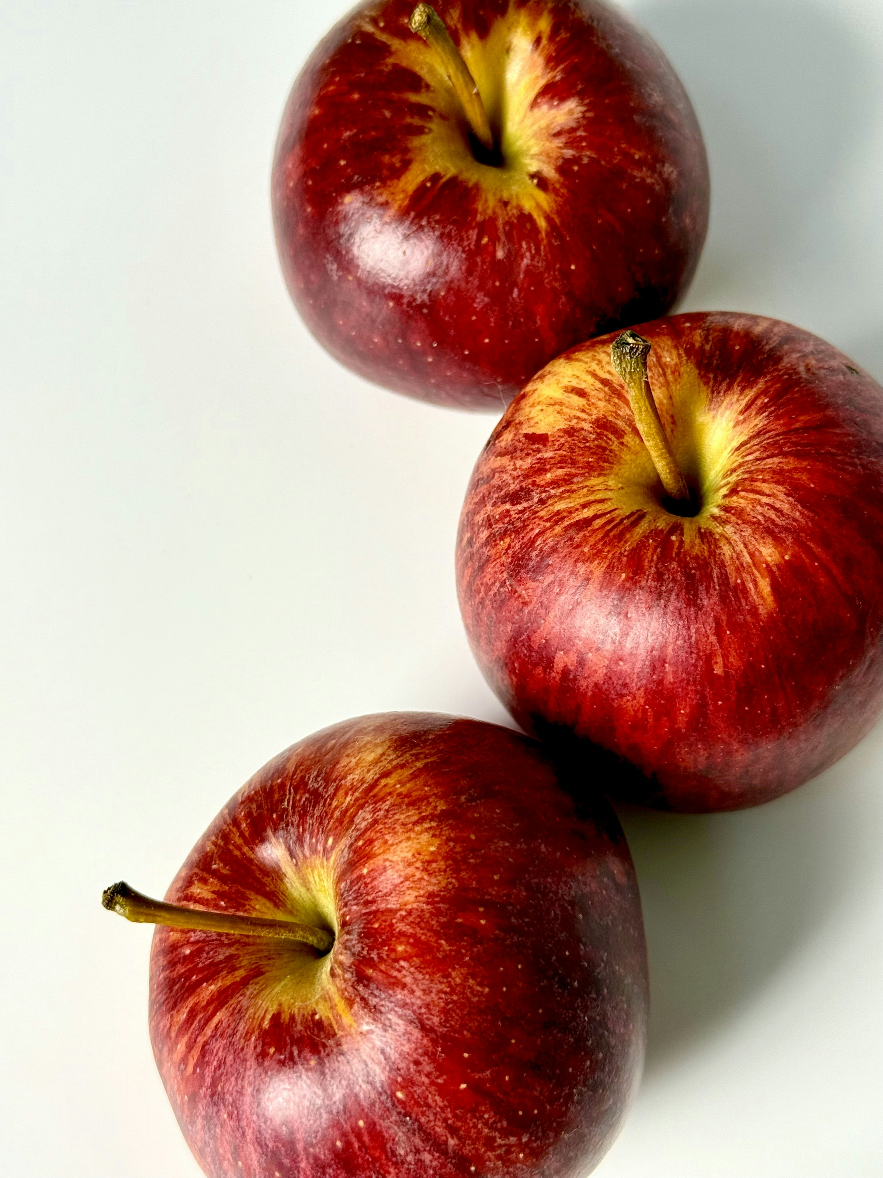 Photo by carmen18forever