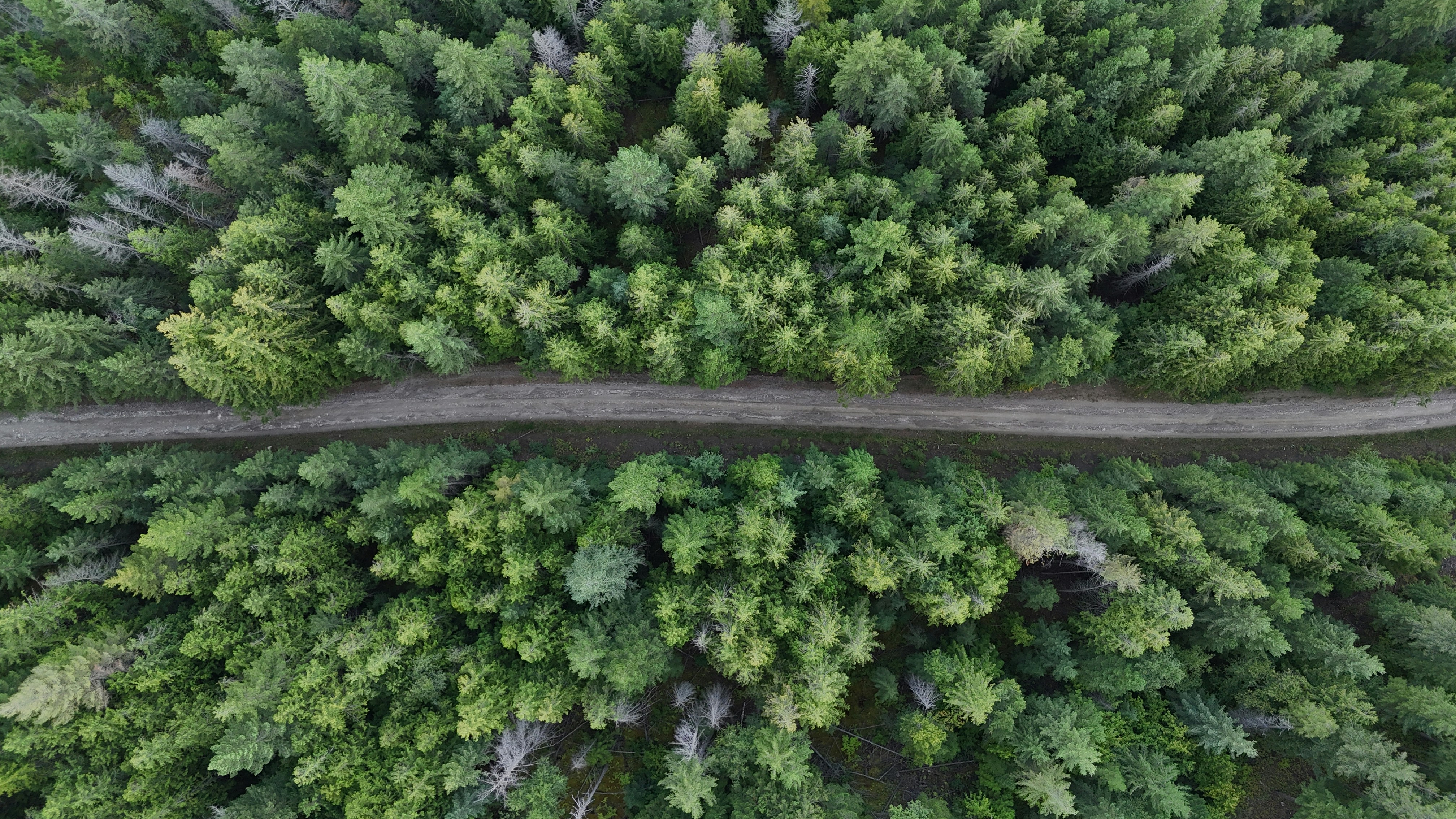 Photo by nathaniel2010