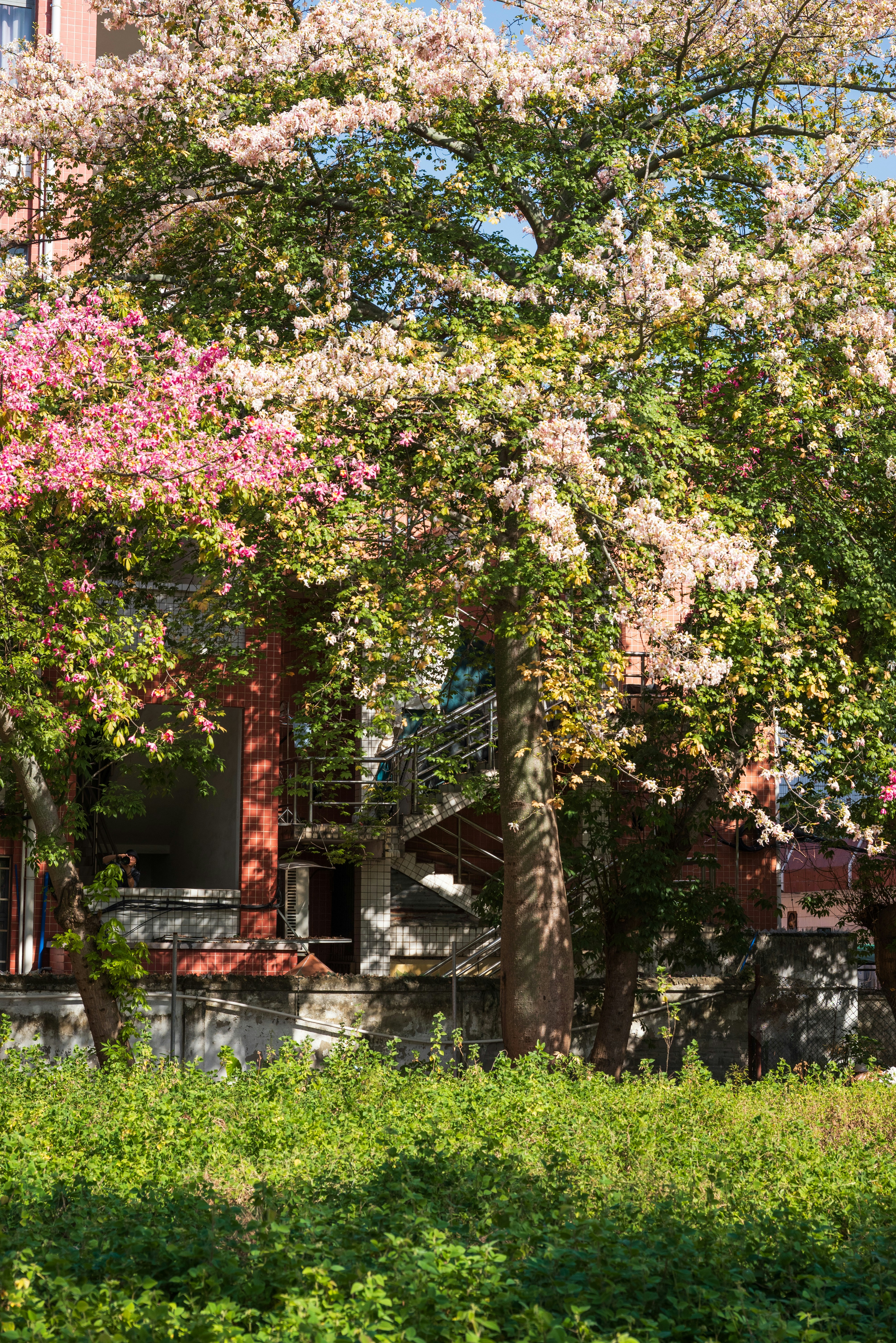 Photo by augustarian