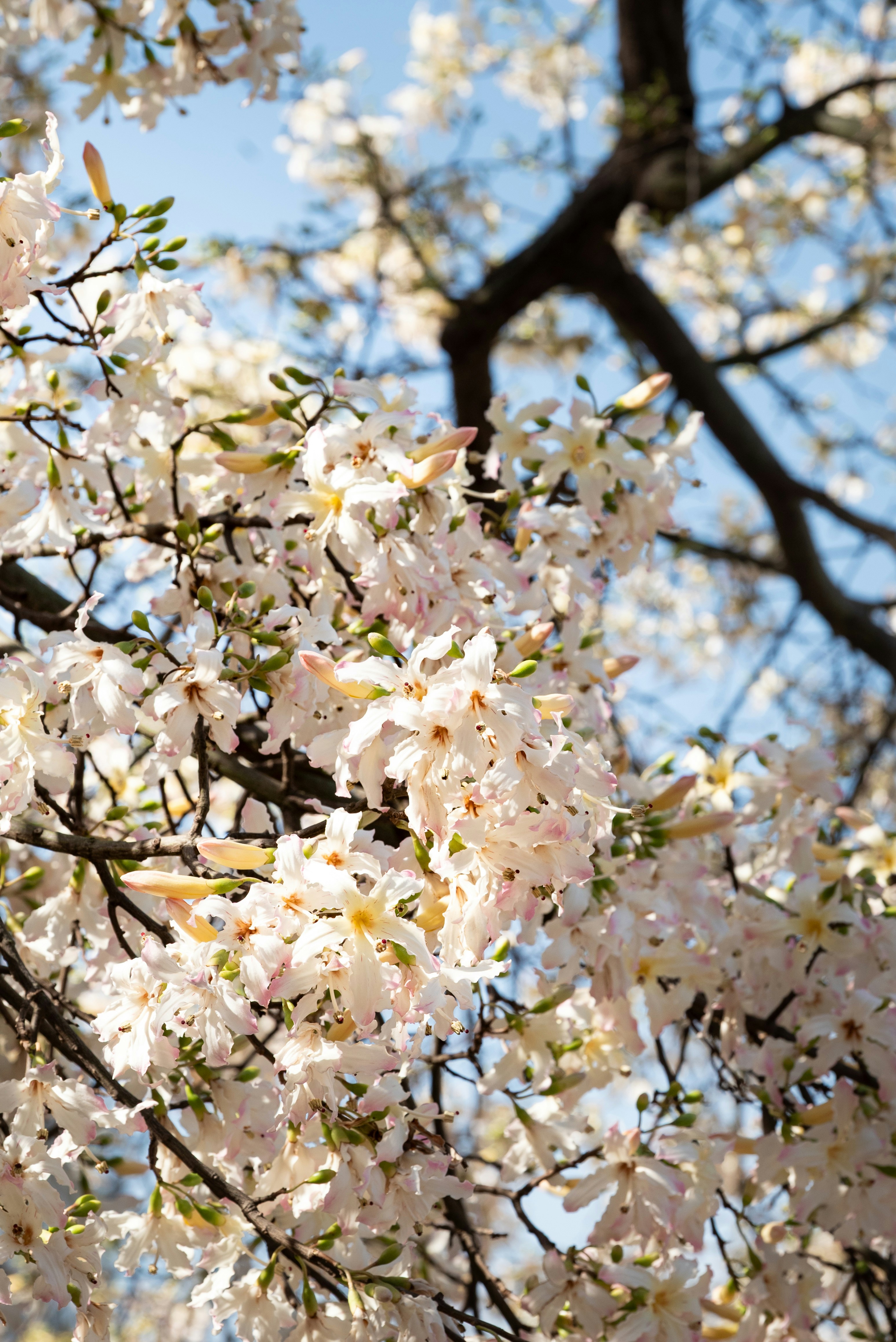 Photo by augustarian