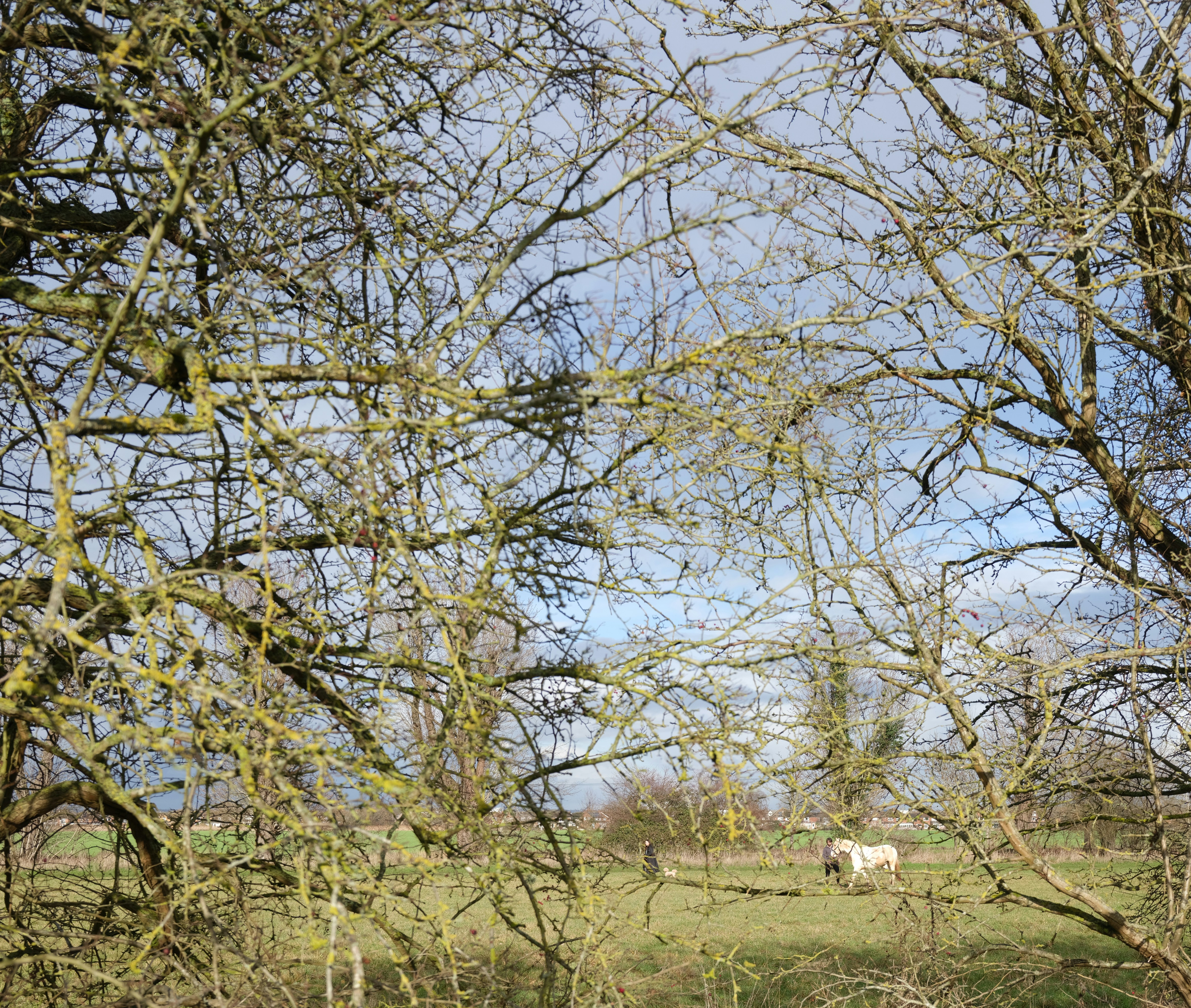 Photo by tanyabarrow