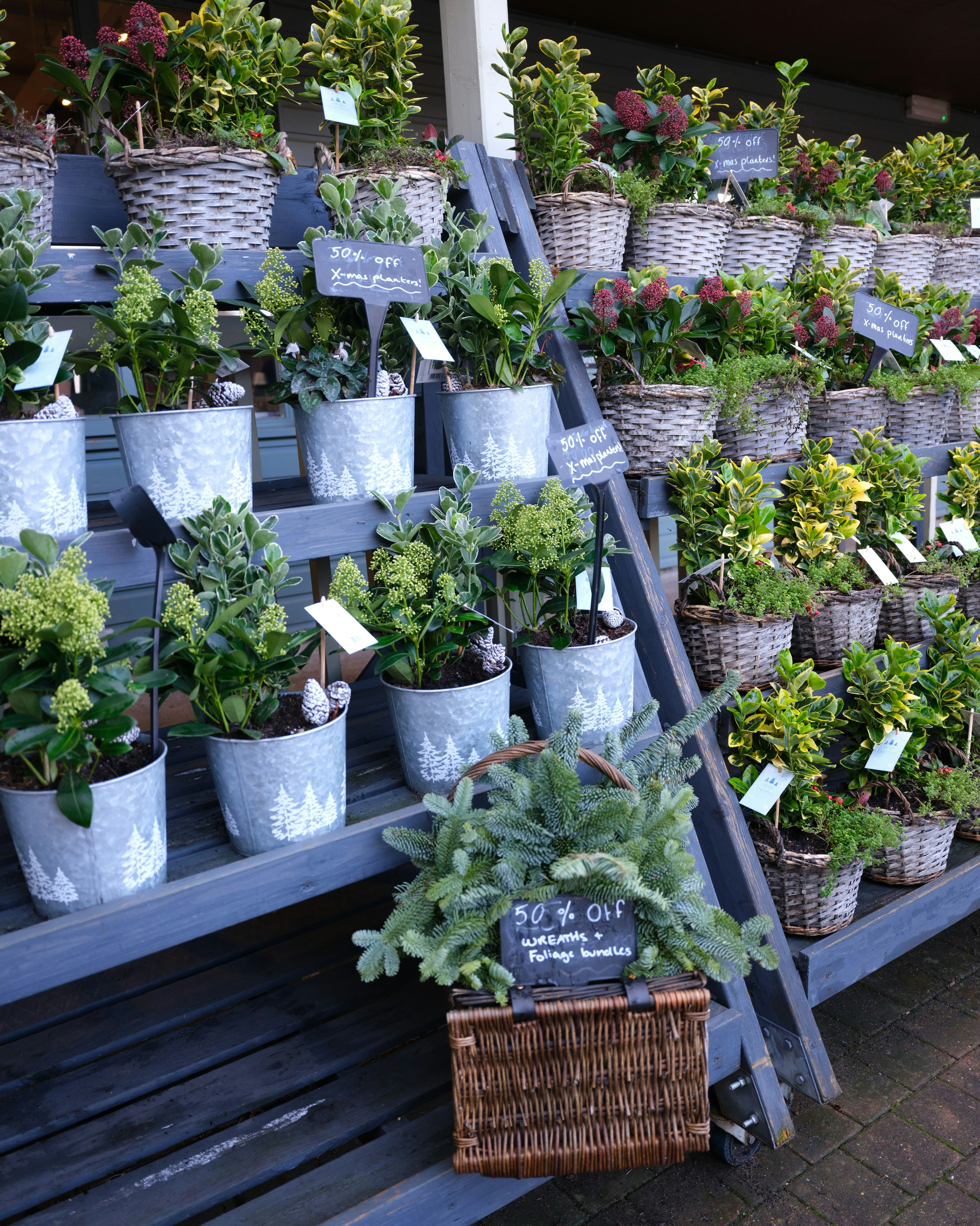 Assortment of potted plants and greenery displayed on shelves.