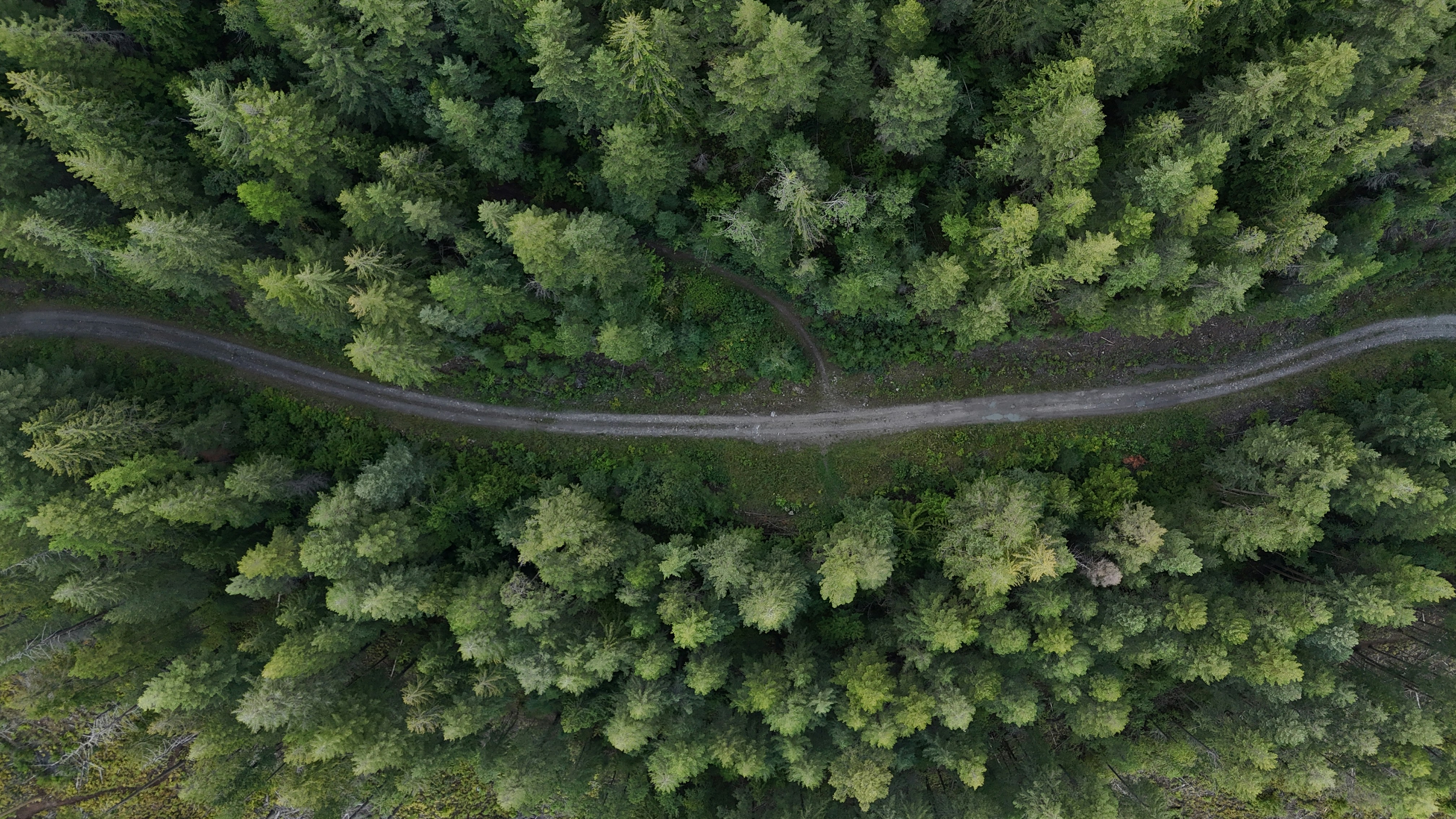 Photo by nathaniel2010