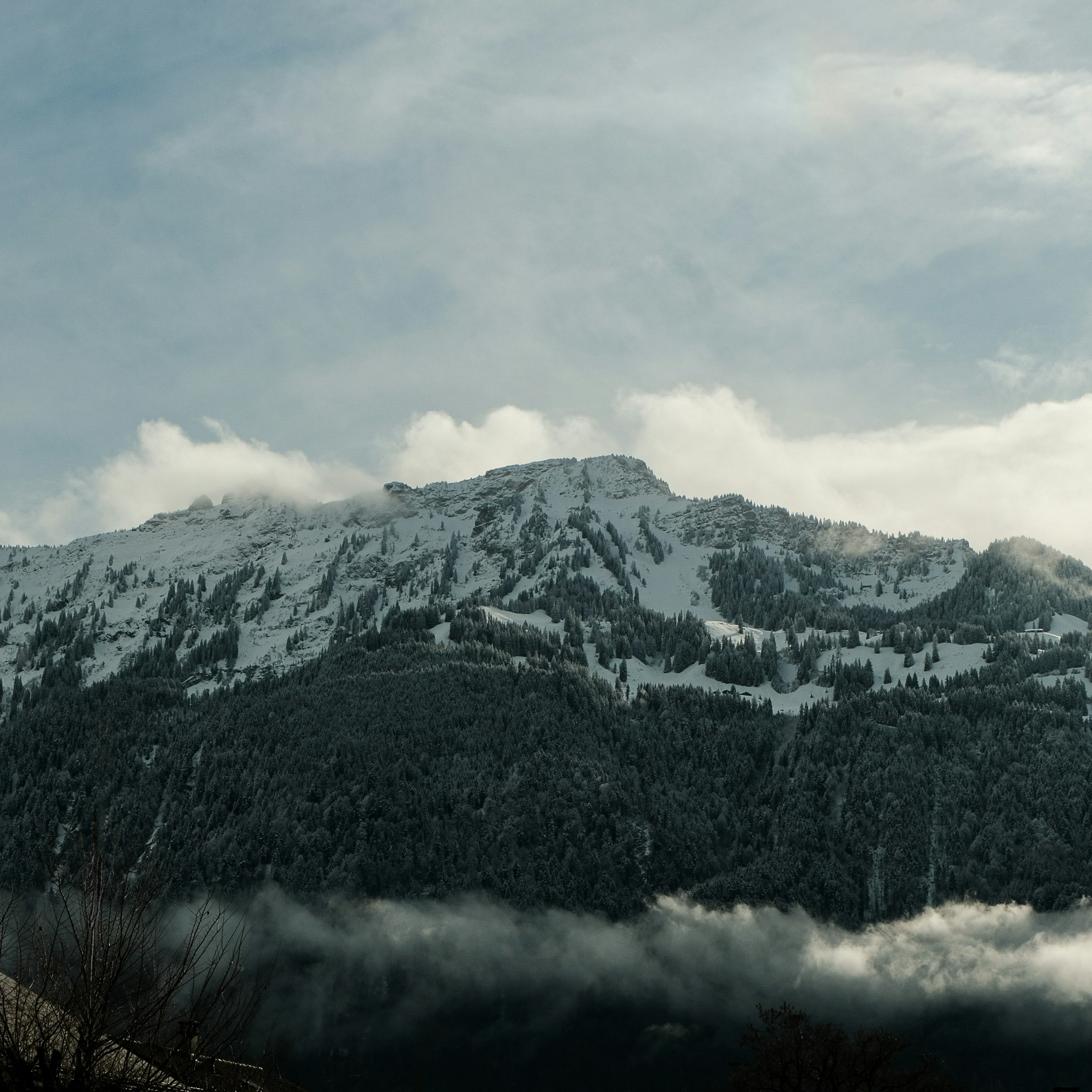 Photo by harrisunsdz