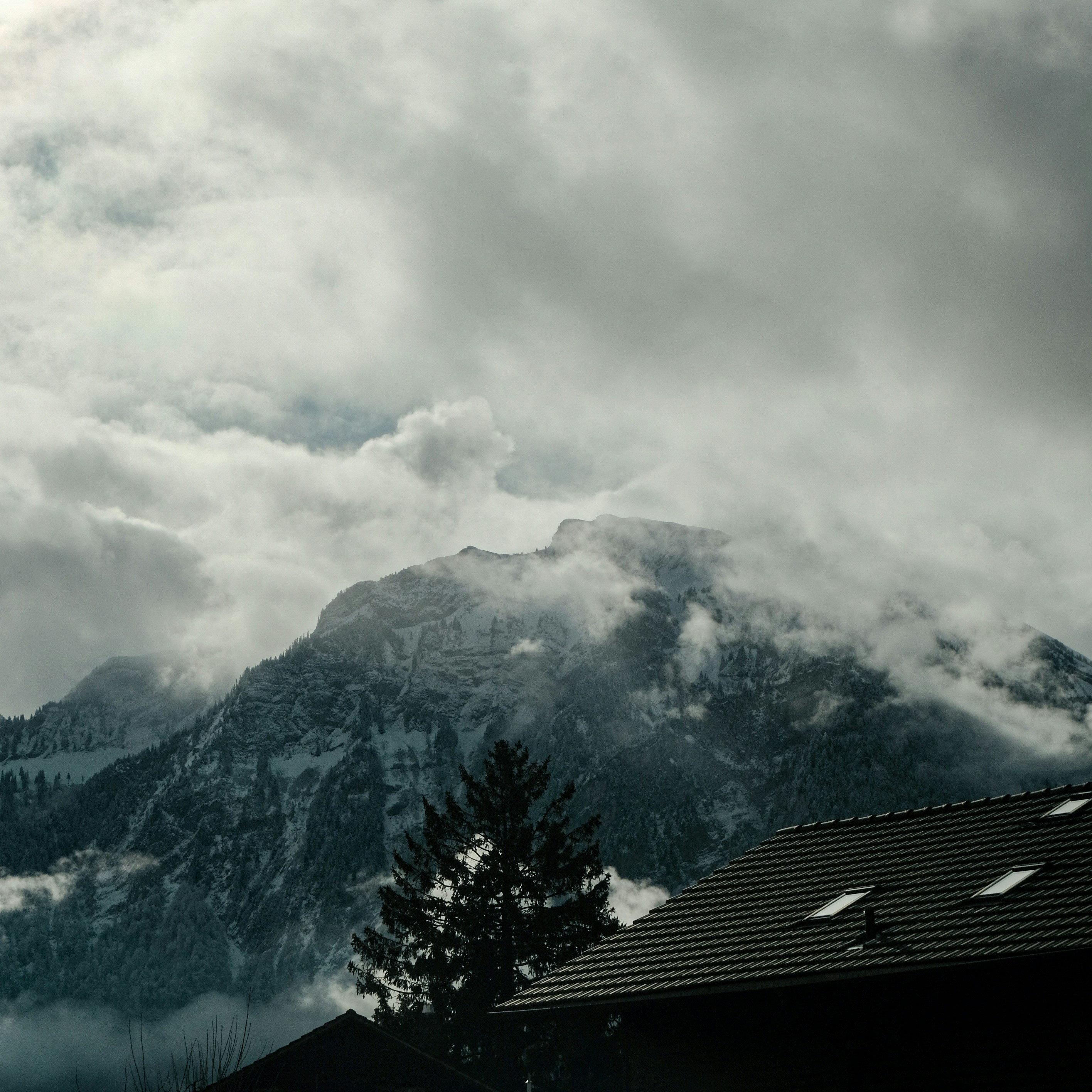 Photo by harrisunsdz