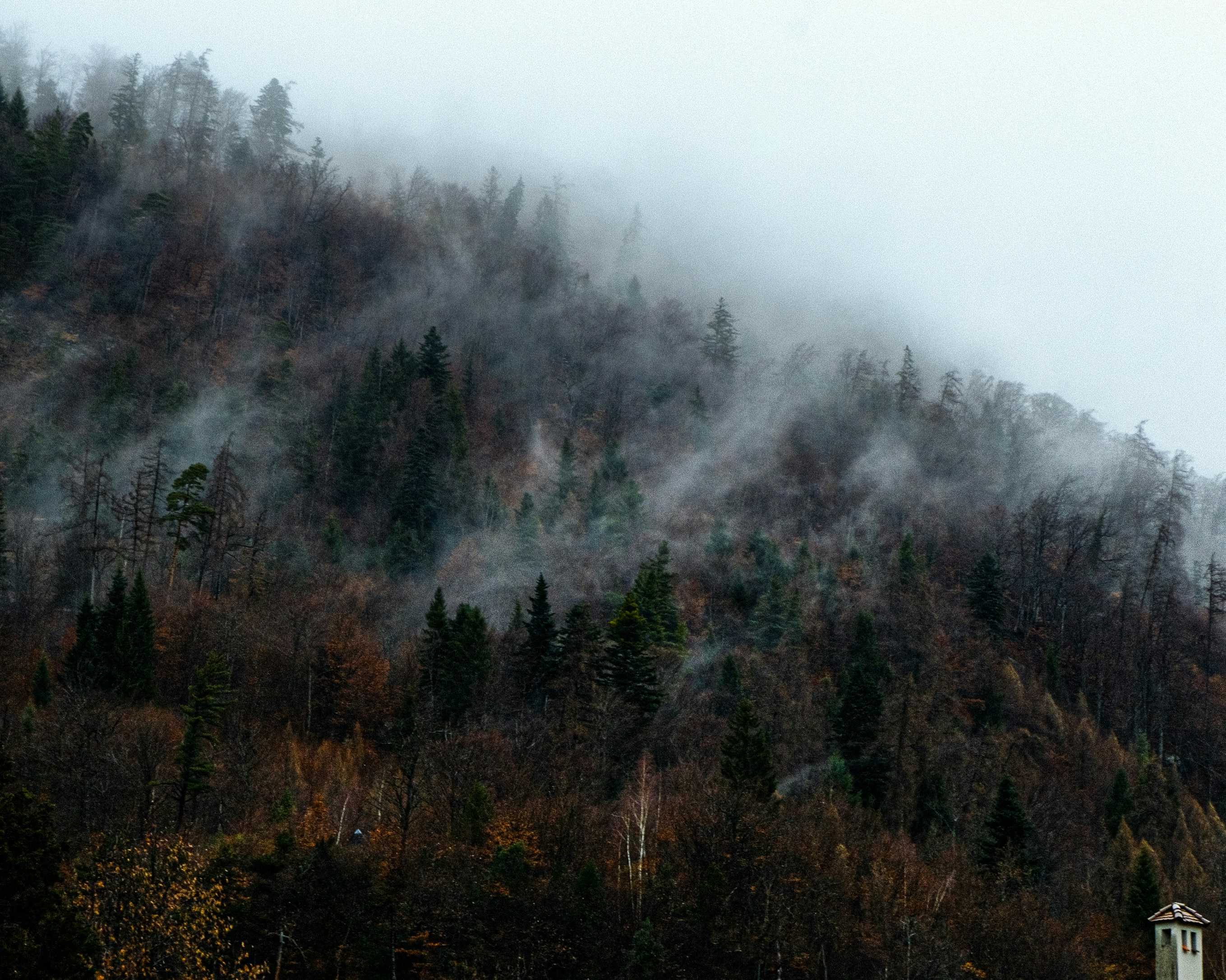 Photo by harrisunsdz