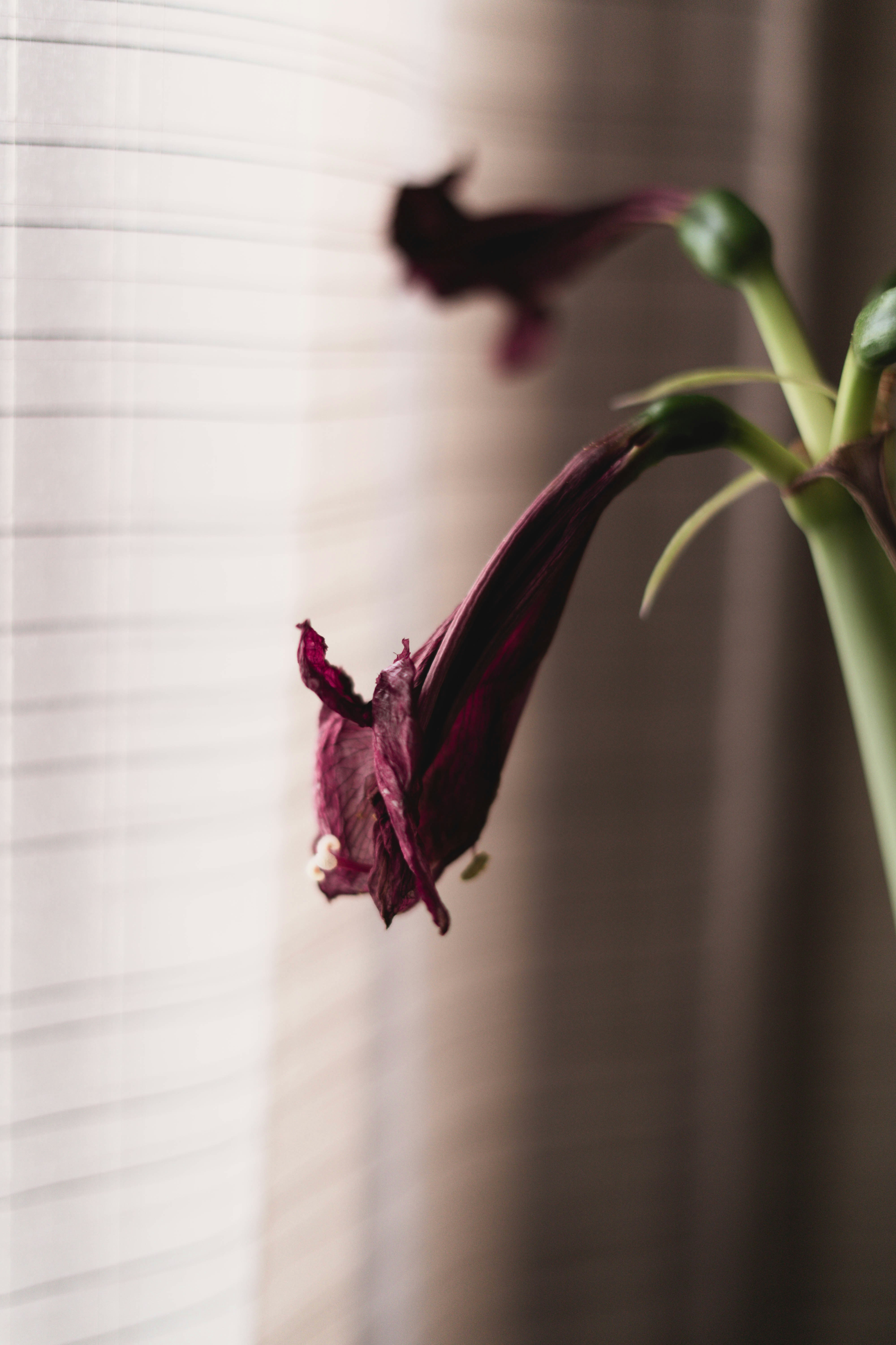 Photo by evgeeeenchik