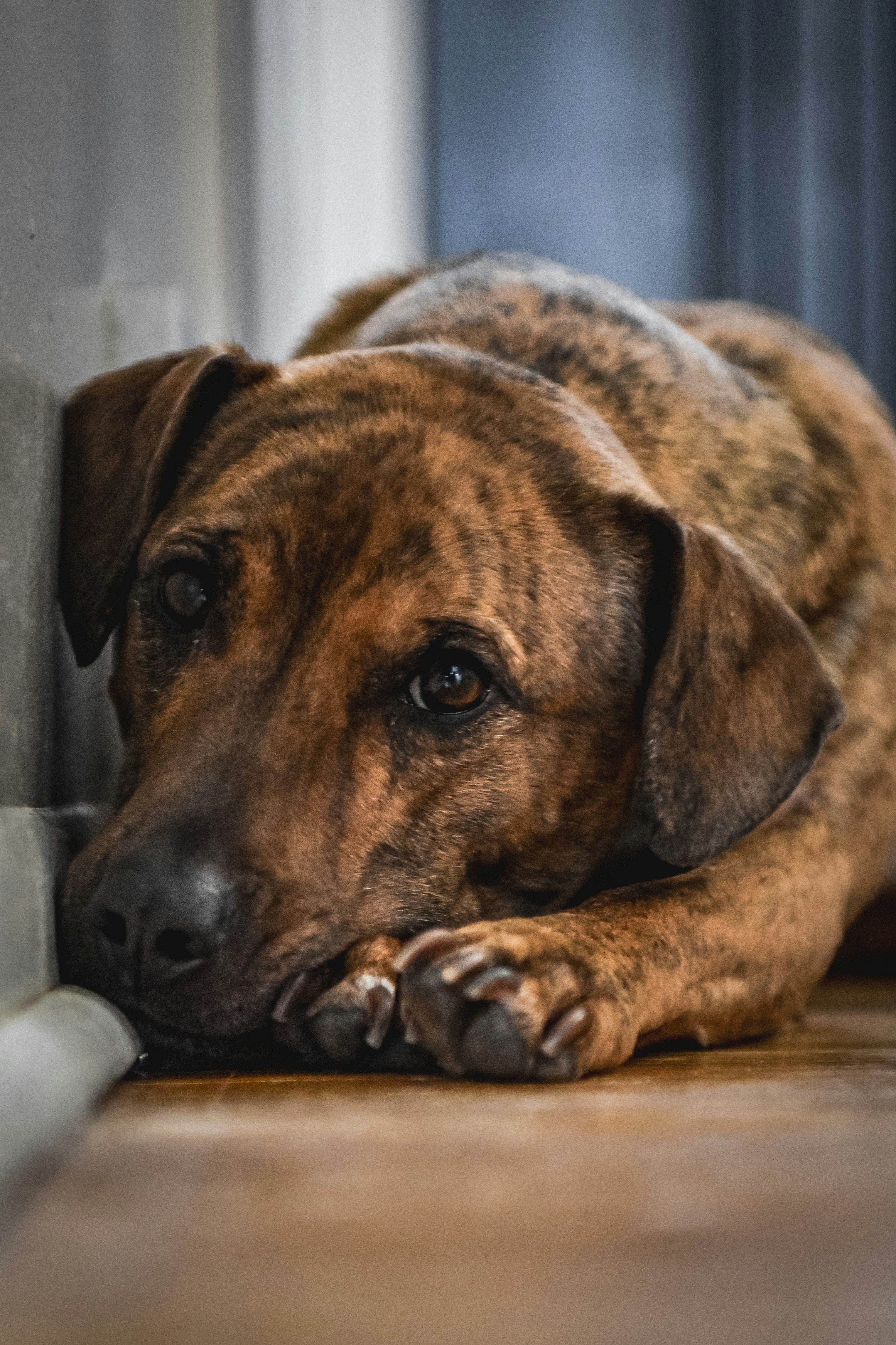 Photo by freefolkphoto